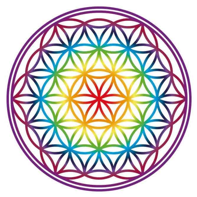 Company Page