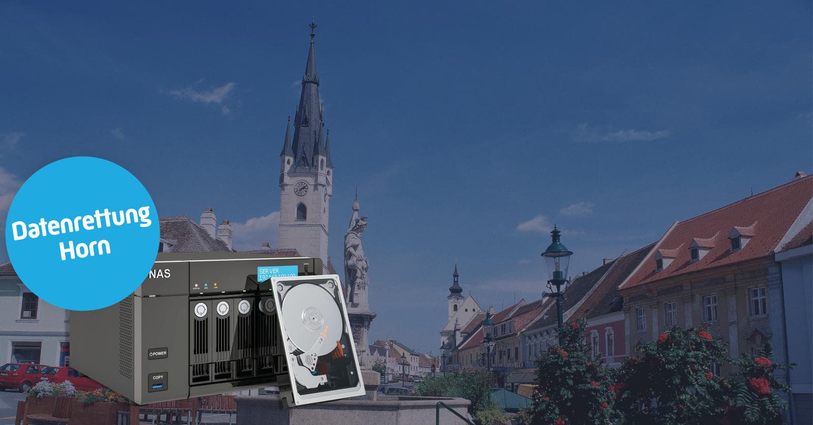 Datenrettung NAS System in Horn