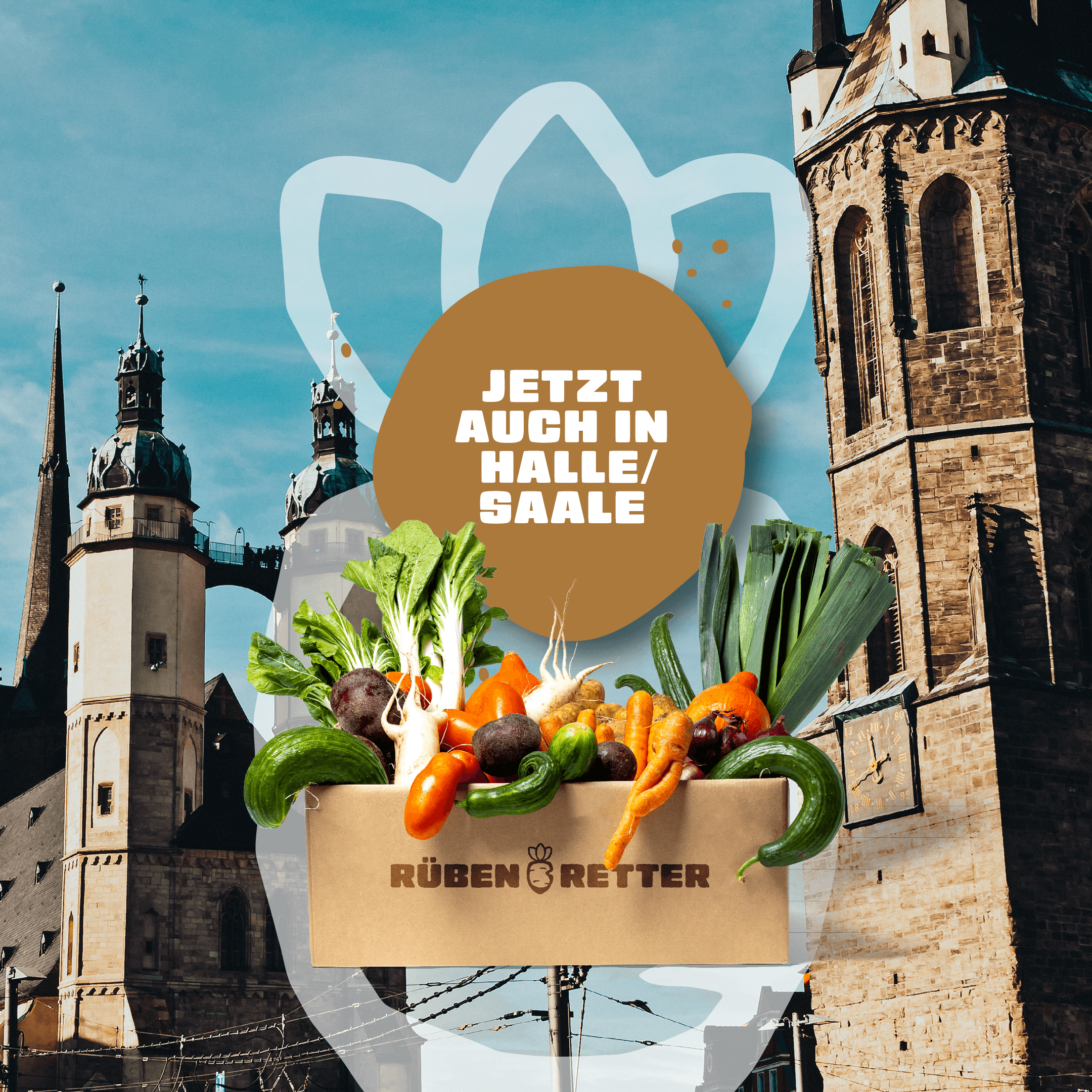 Obst und Gemüse Retterbox Abo kaufen in Halle-Saale