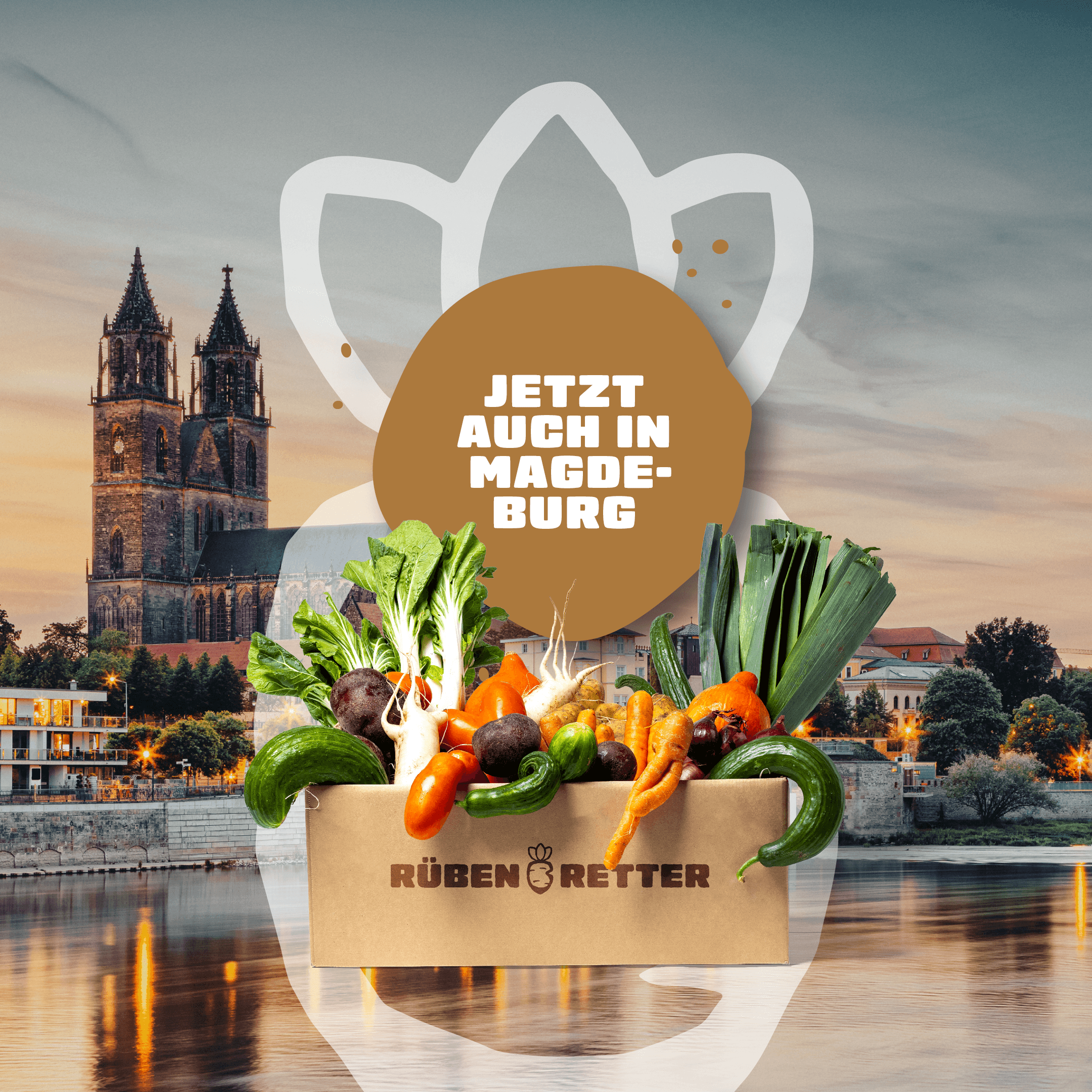Abo für Obst und Gemüse online bestellen in Magdeburg