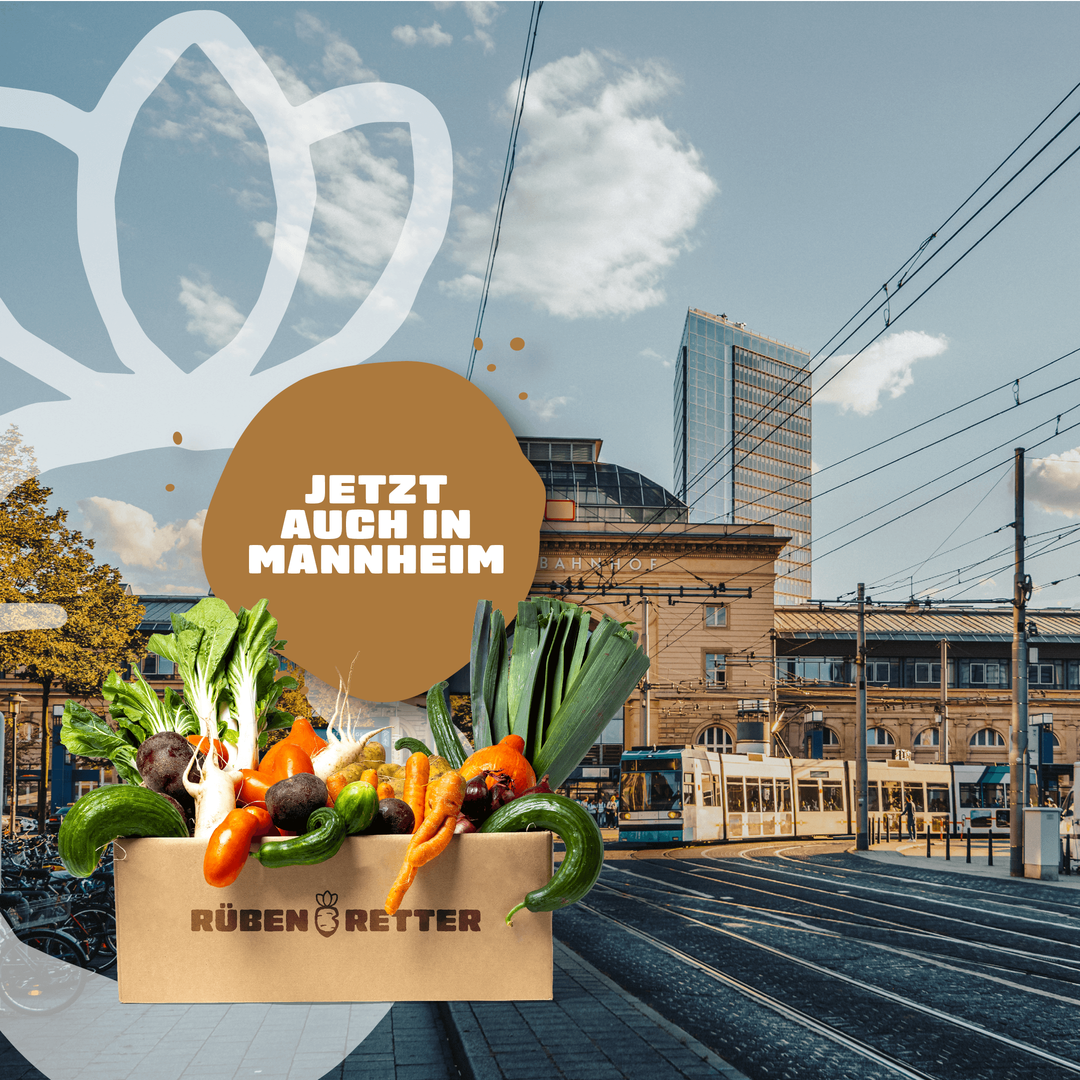 Obst und Gemüse Retterbox Abo kaufen in Mannheim