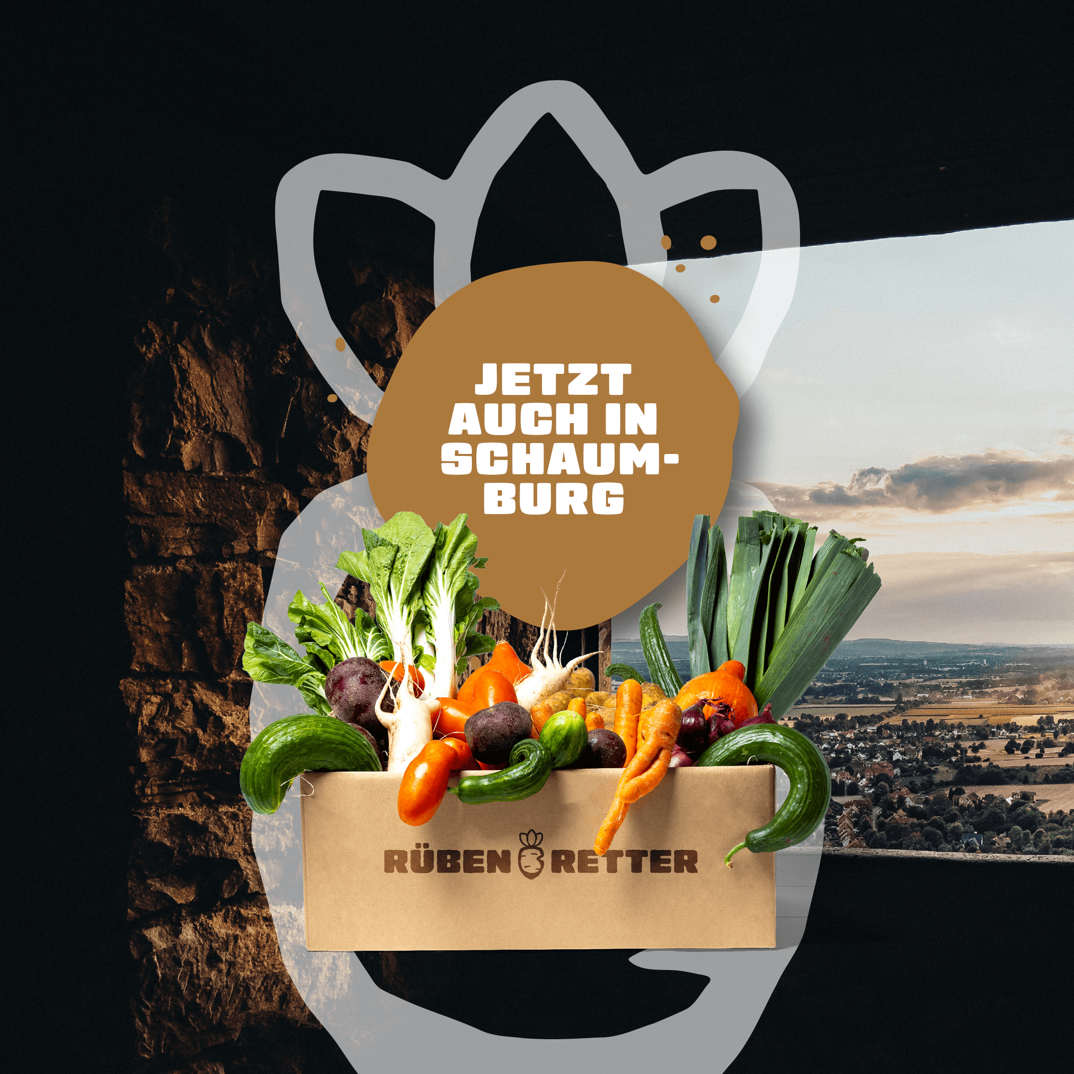 Abo für Obst und Gemüse online bestellen in Schaumburg