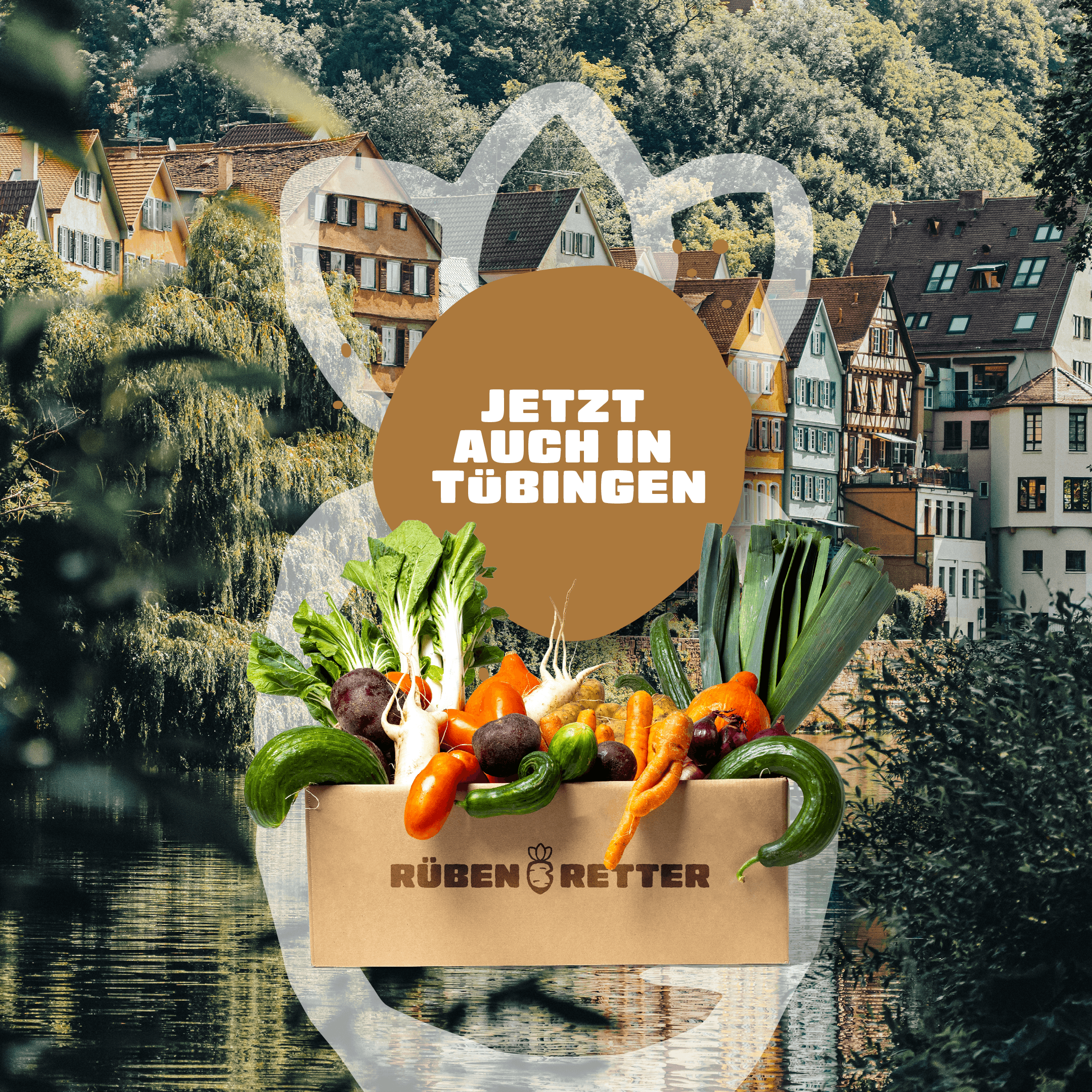 Abo für Obst und Gemüse online bestellen in Tübingen
