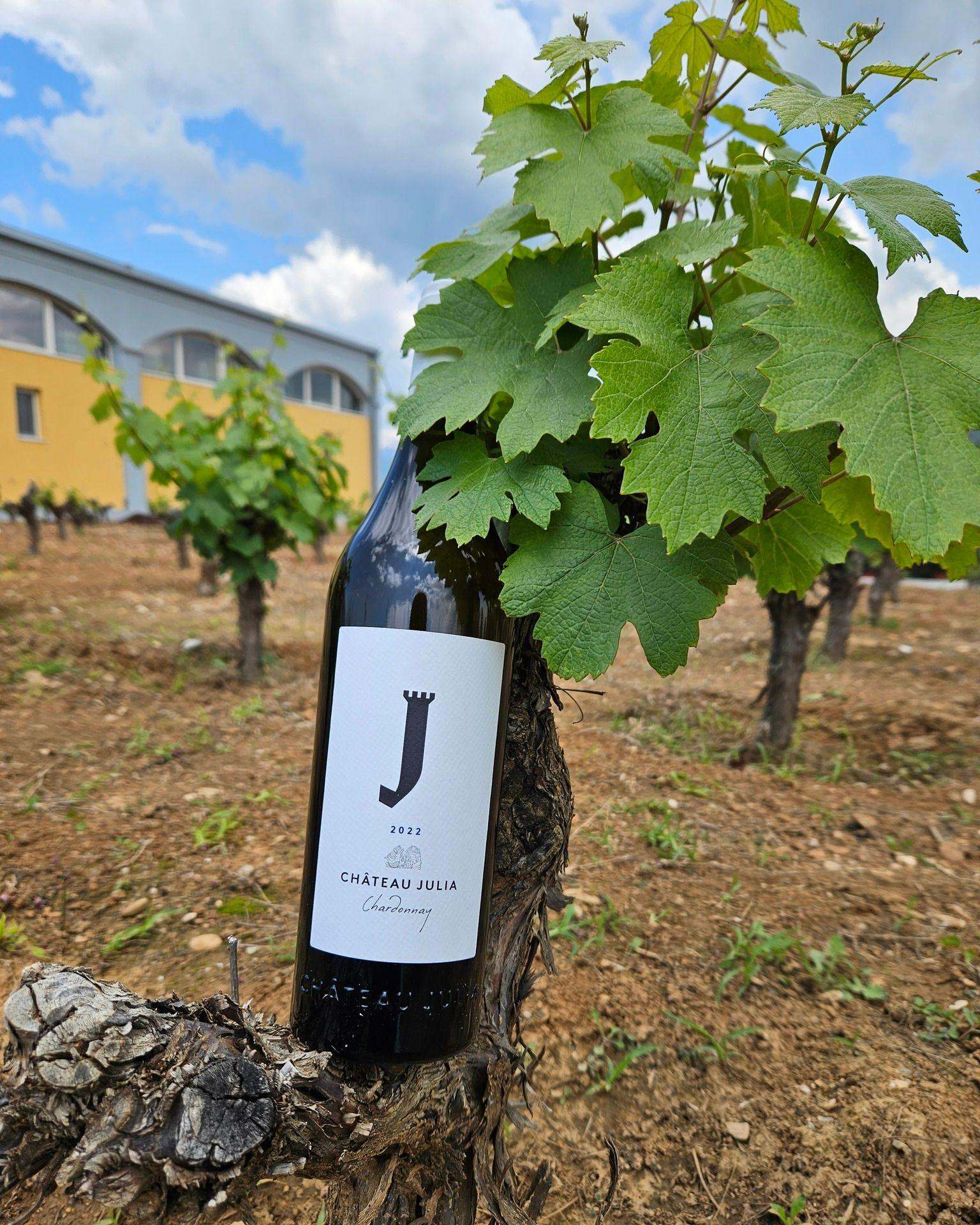 Chateau Julia "Chardonnay"
