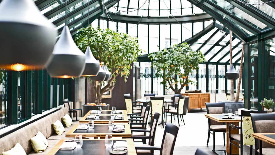Lunch im Glashaus