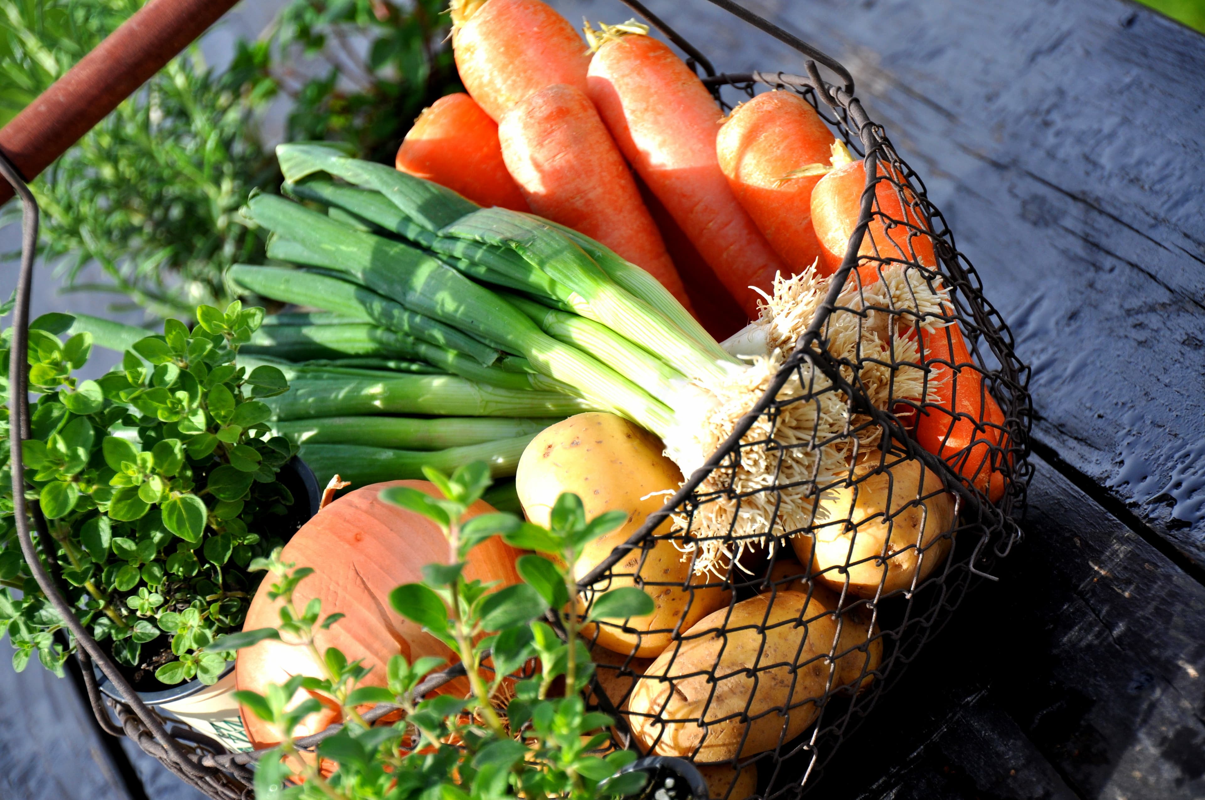 Bio Obst und Gemüse vom Großhandel