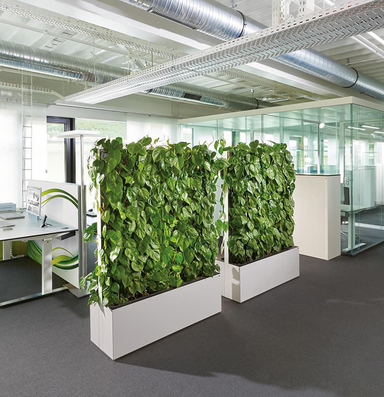 Nature Office