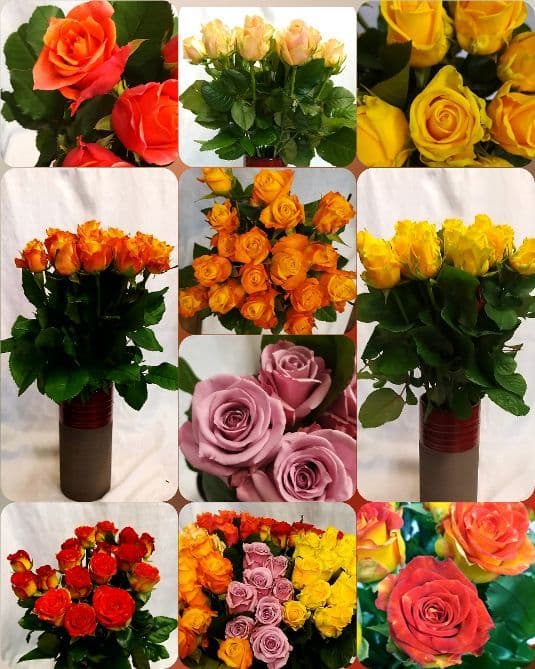 Image Component