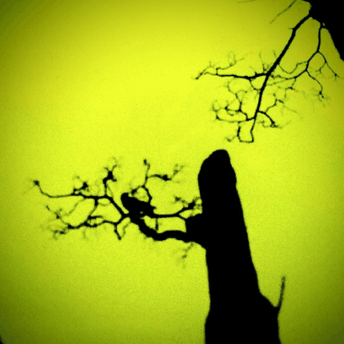 Image Component