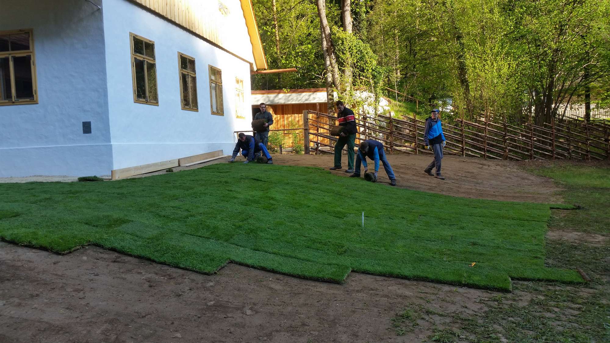 Rollrasen in Graz und Umgebung