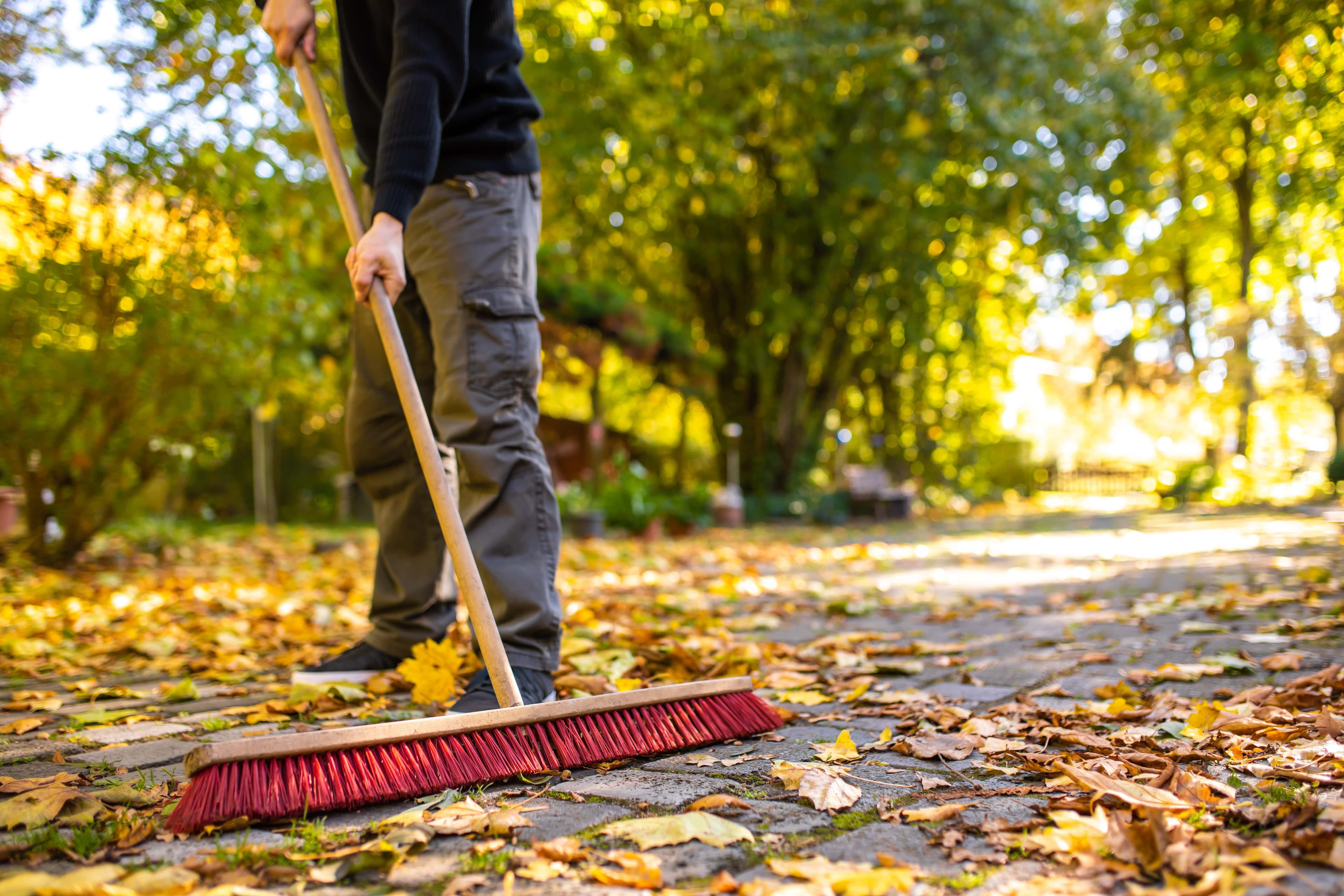 Gartenpflege mit Expertise