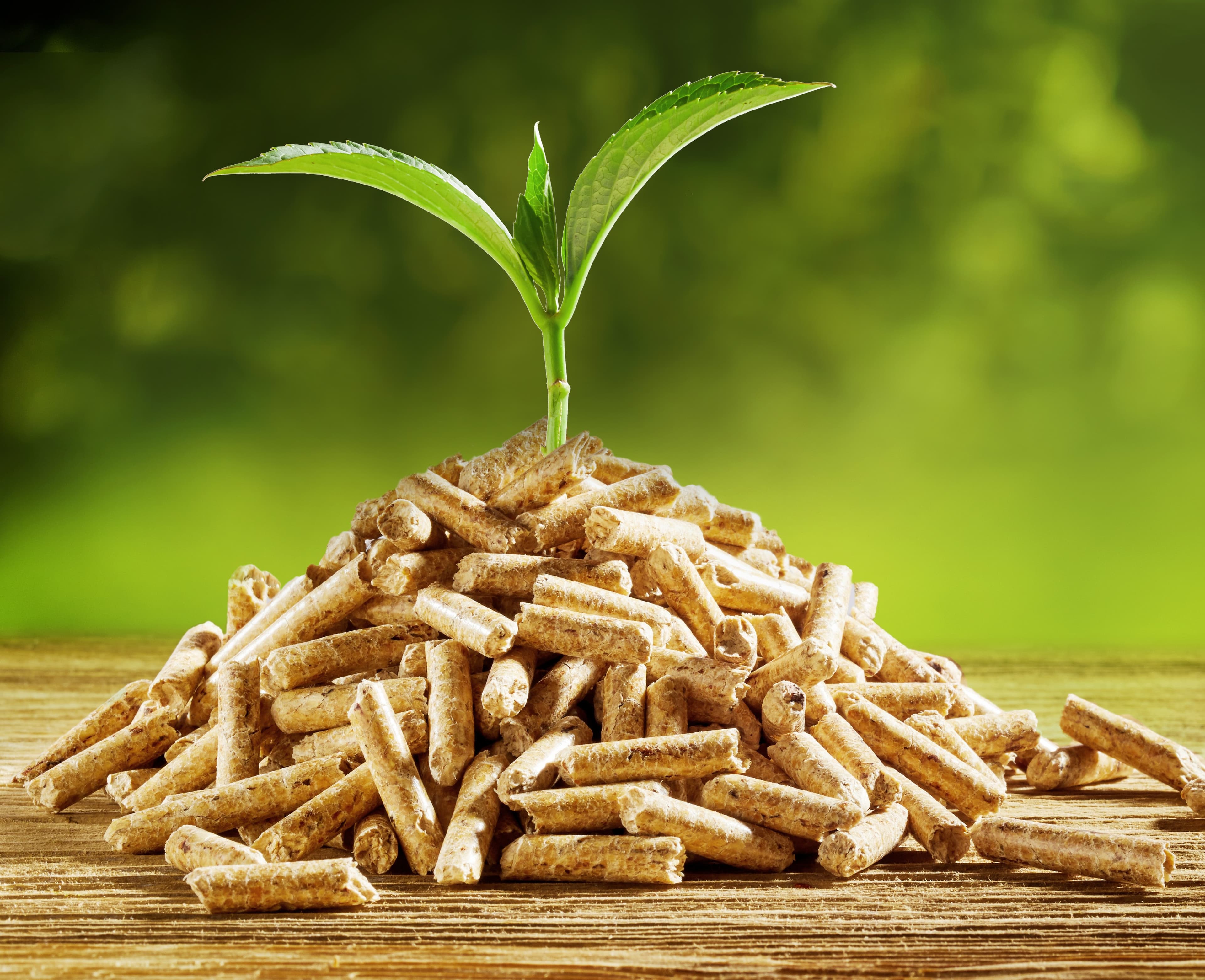 Umweltfreundliches Heizen mit PFEFERLE