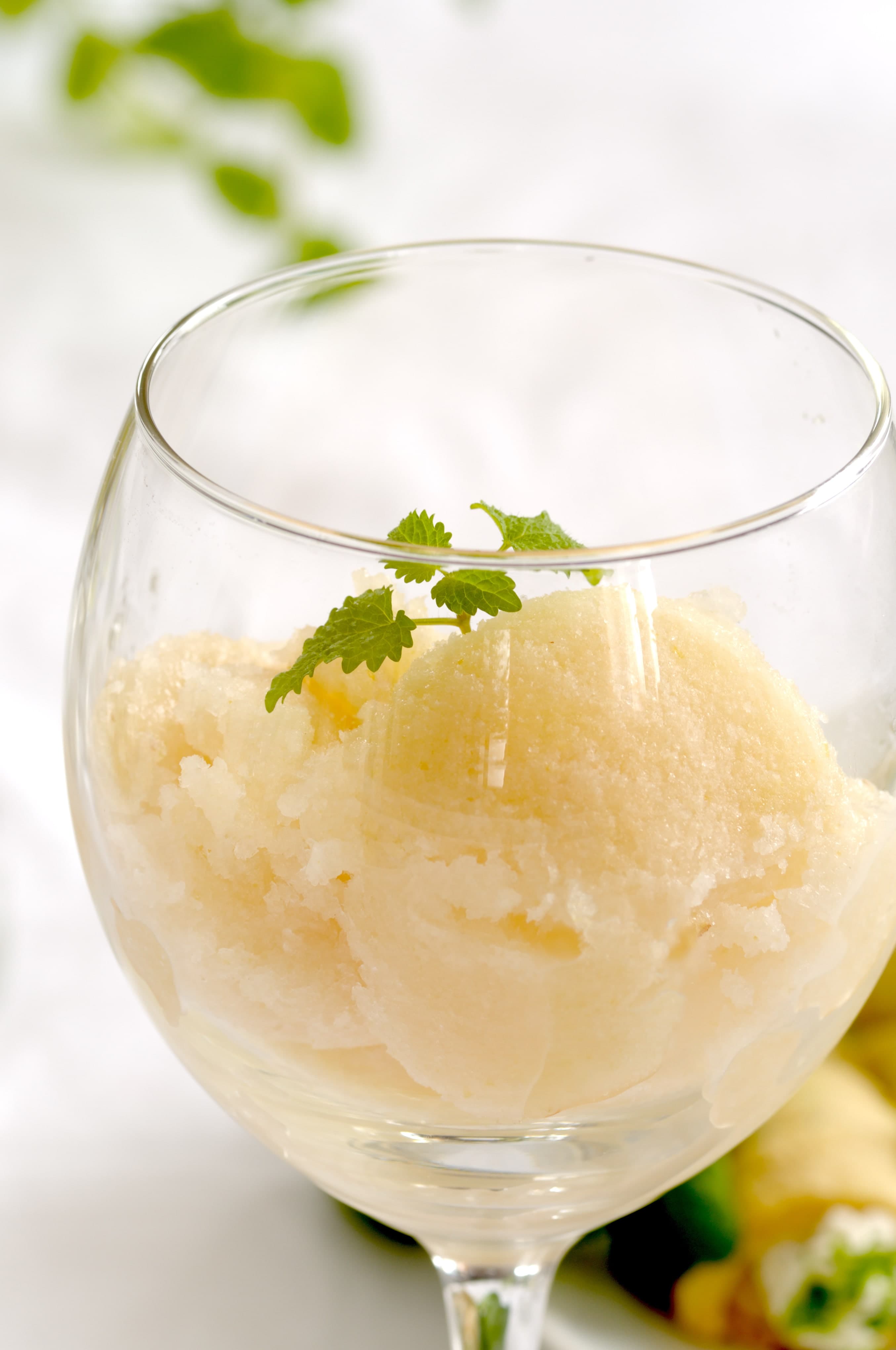 Bauernhofeis - Kriecherlsorbet