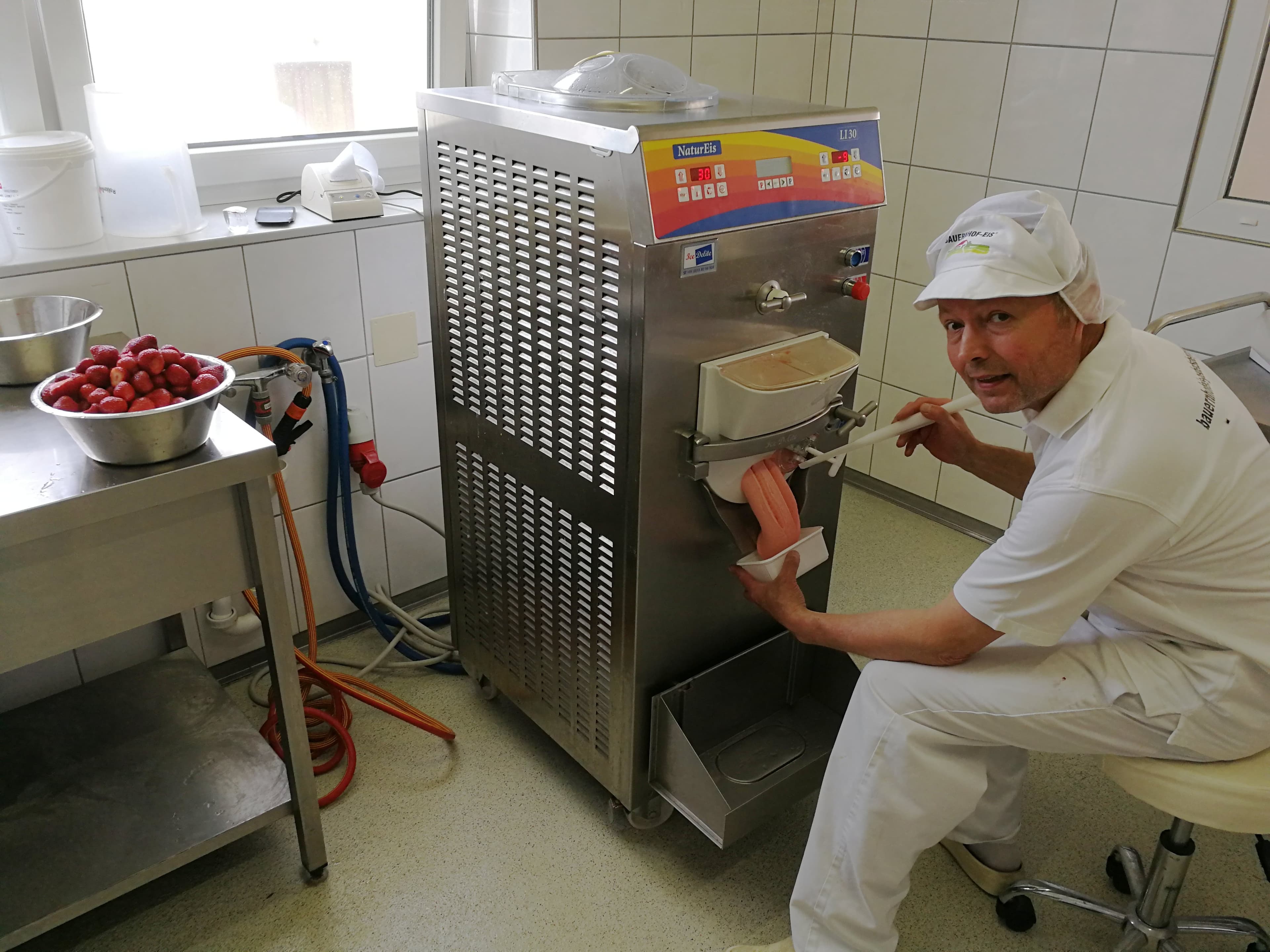 Bauernhofeis  Heidelbeere - Joghurt 