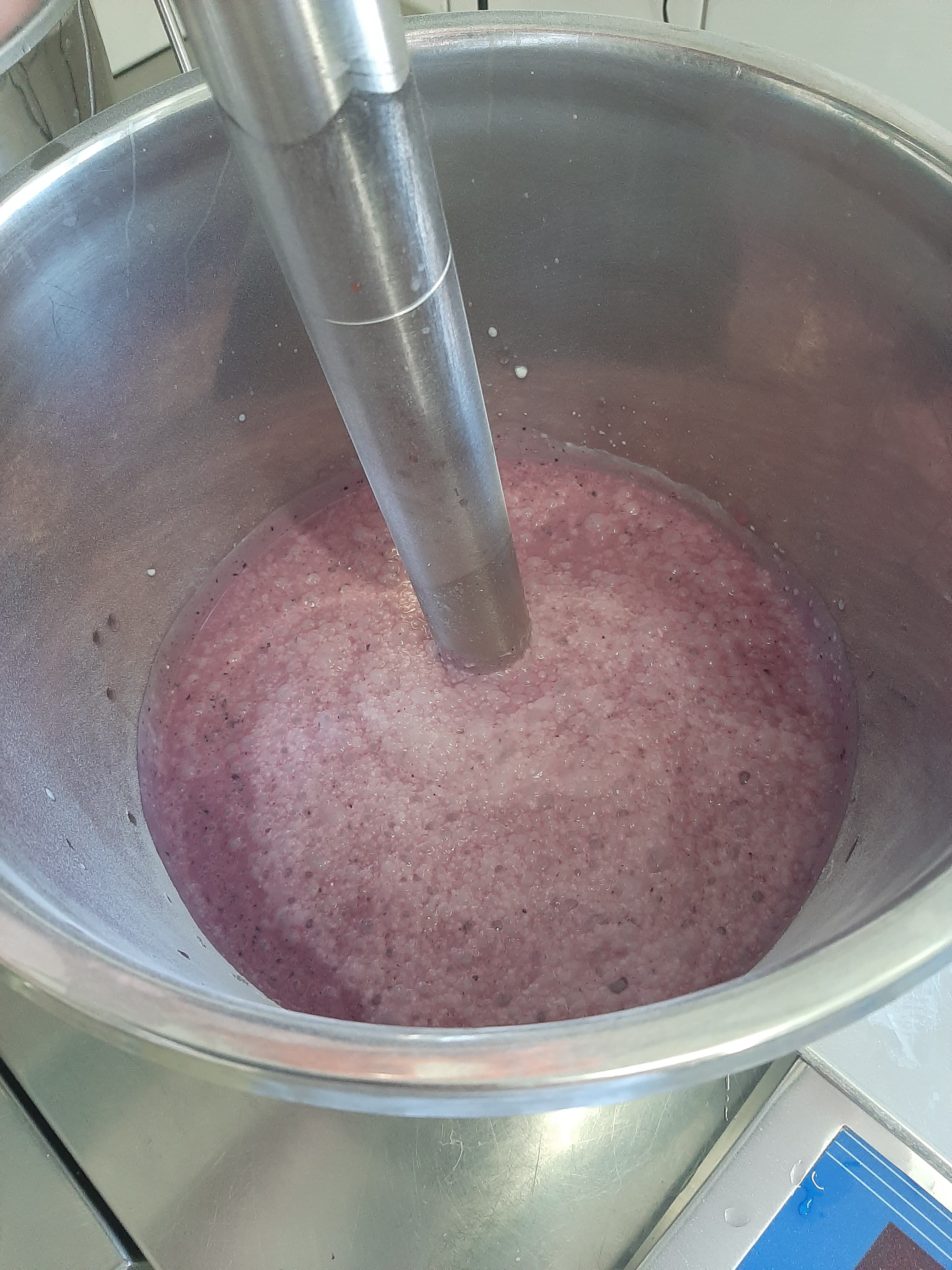 Bauernhofeis - Brombeere