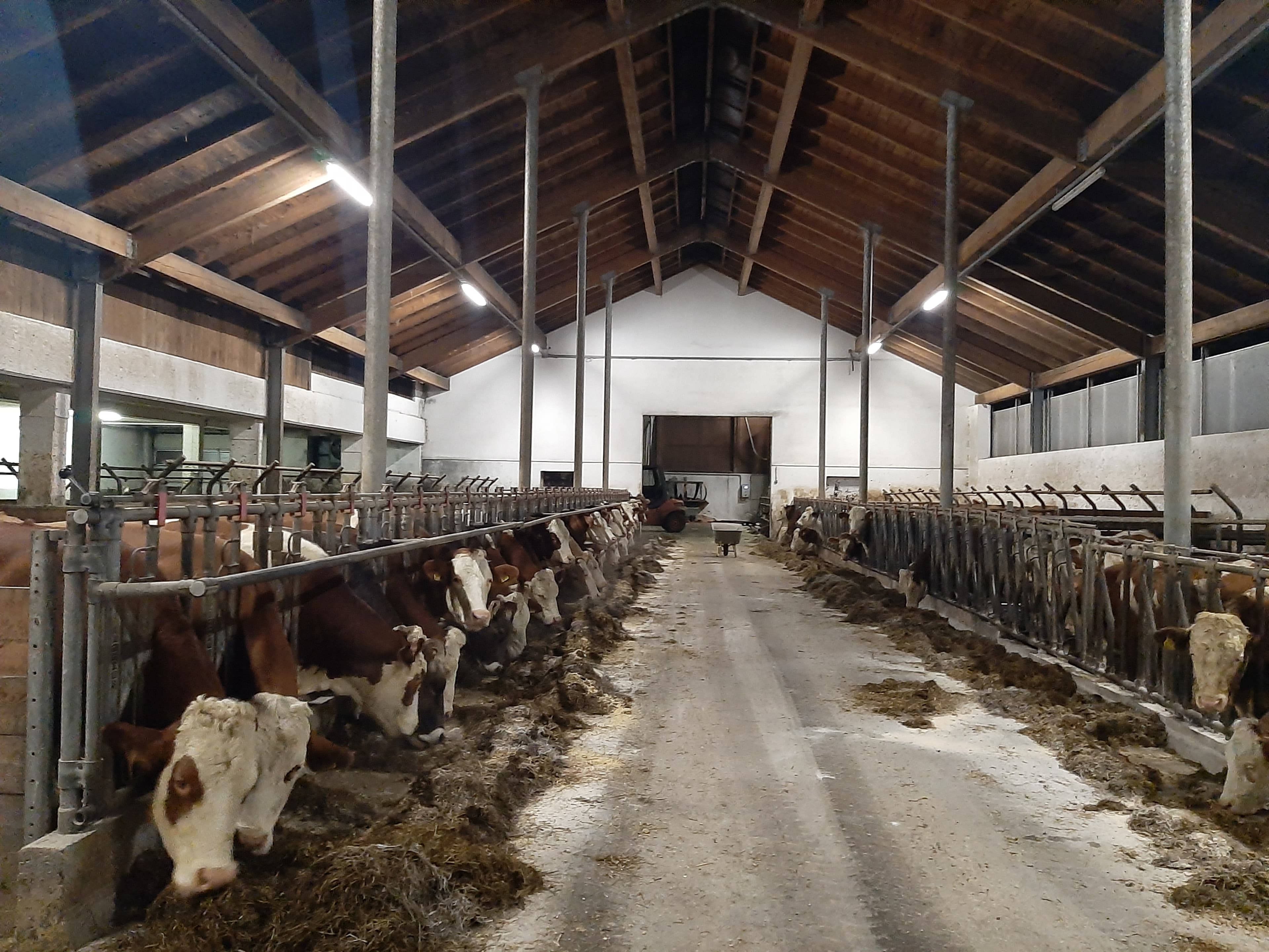Bauernhofeis aus dem Bezirk Amstetten 