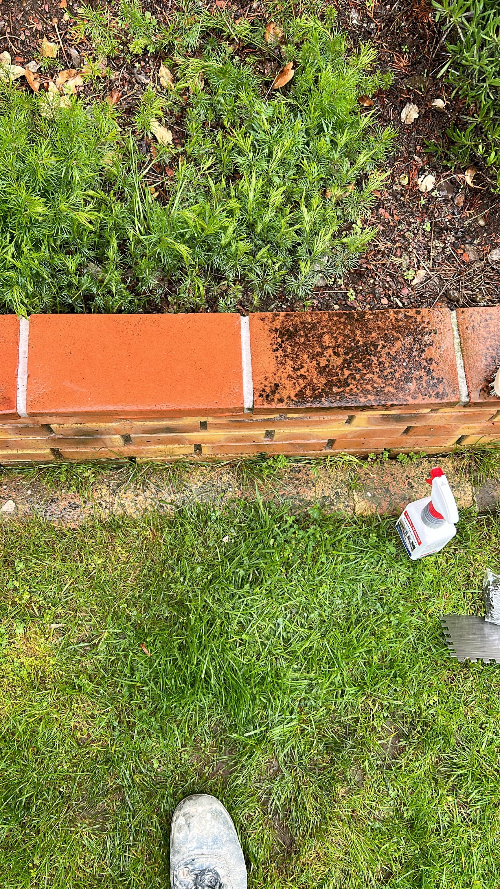 Gartenpflege mit Expertise