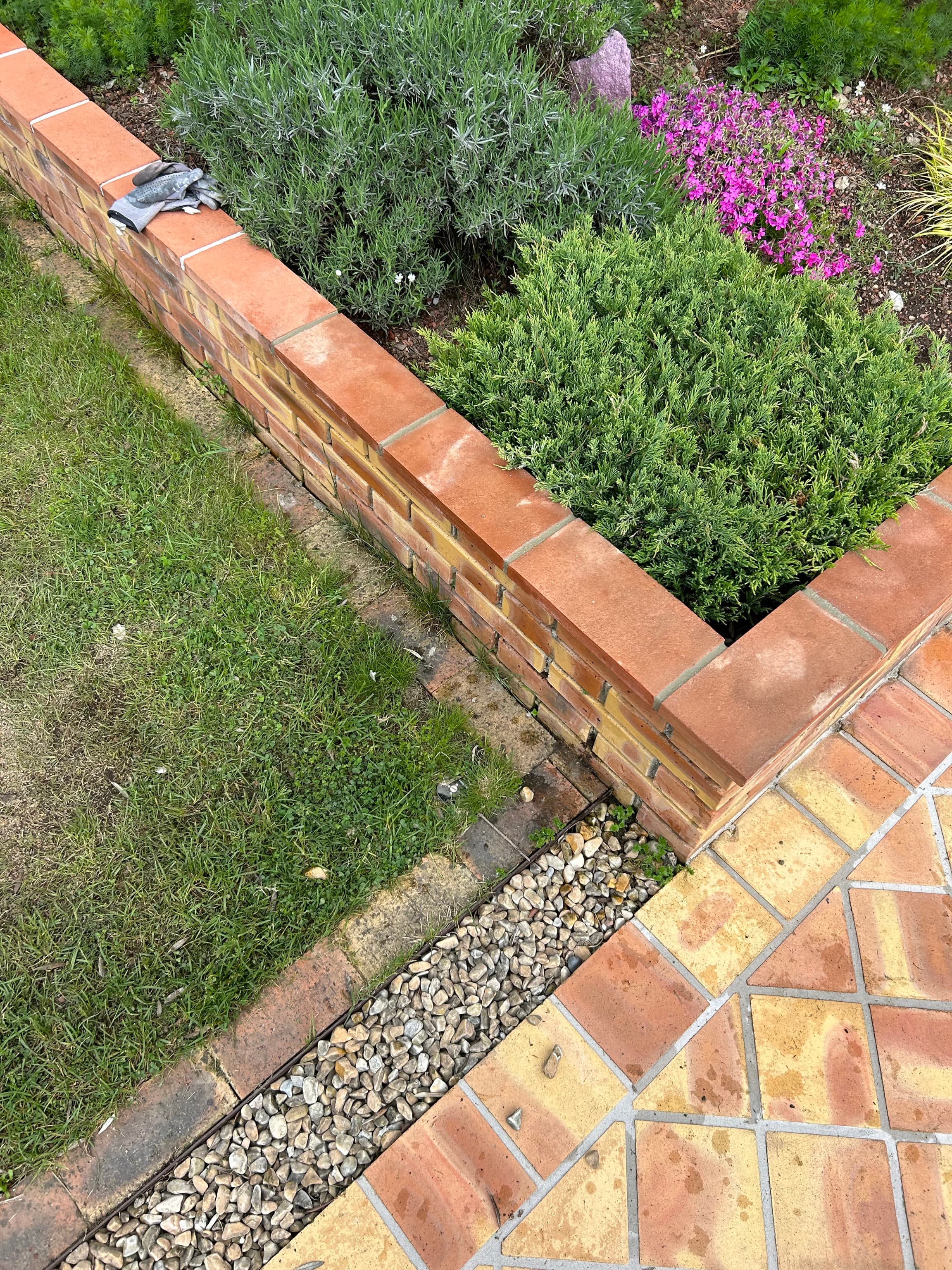 Gartenpflege mit Expertise