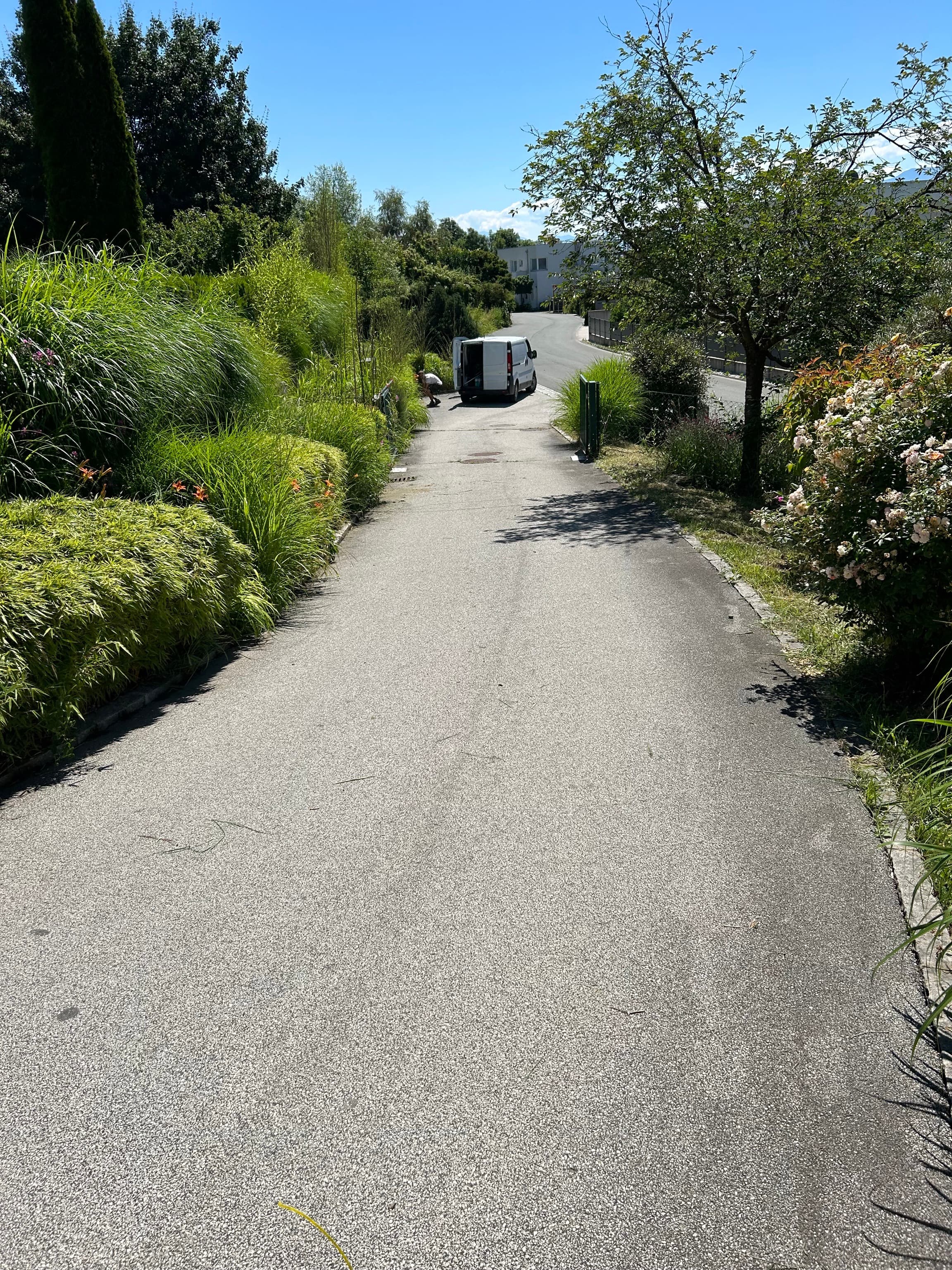 Gartenpflege - Unkrautjäger im Einsatz