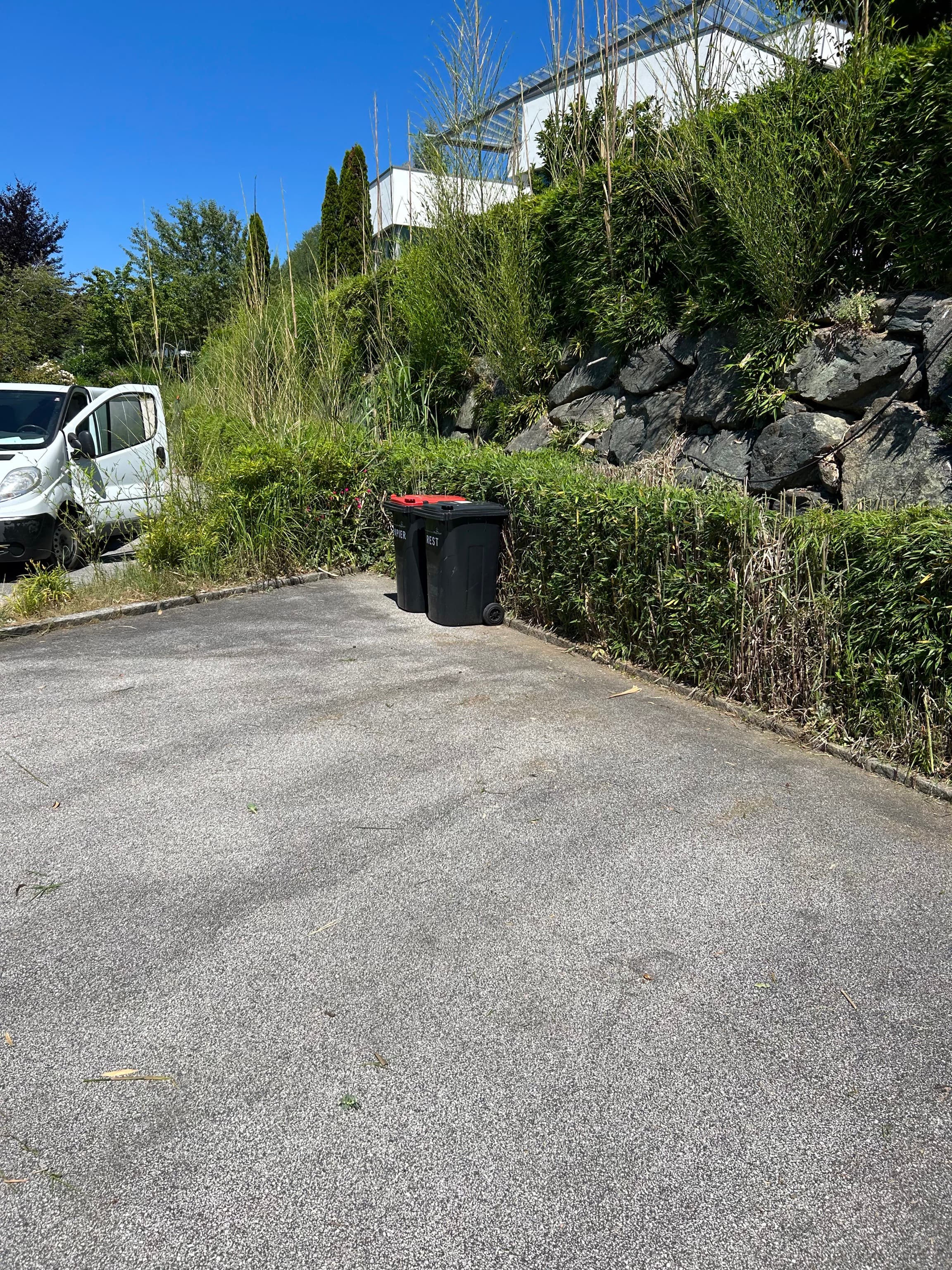 Gartenpflege - Unkrautjäger im Einsatz
