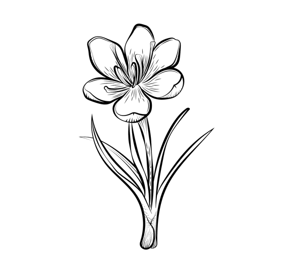 Image Component