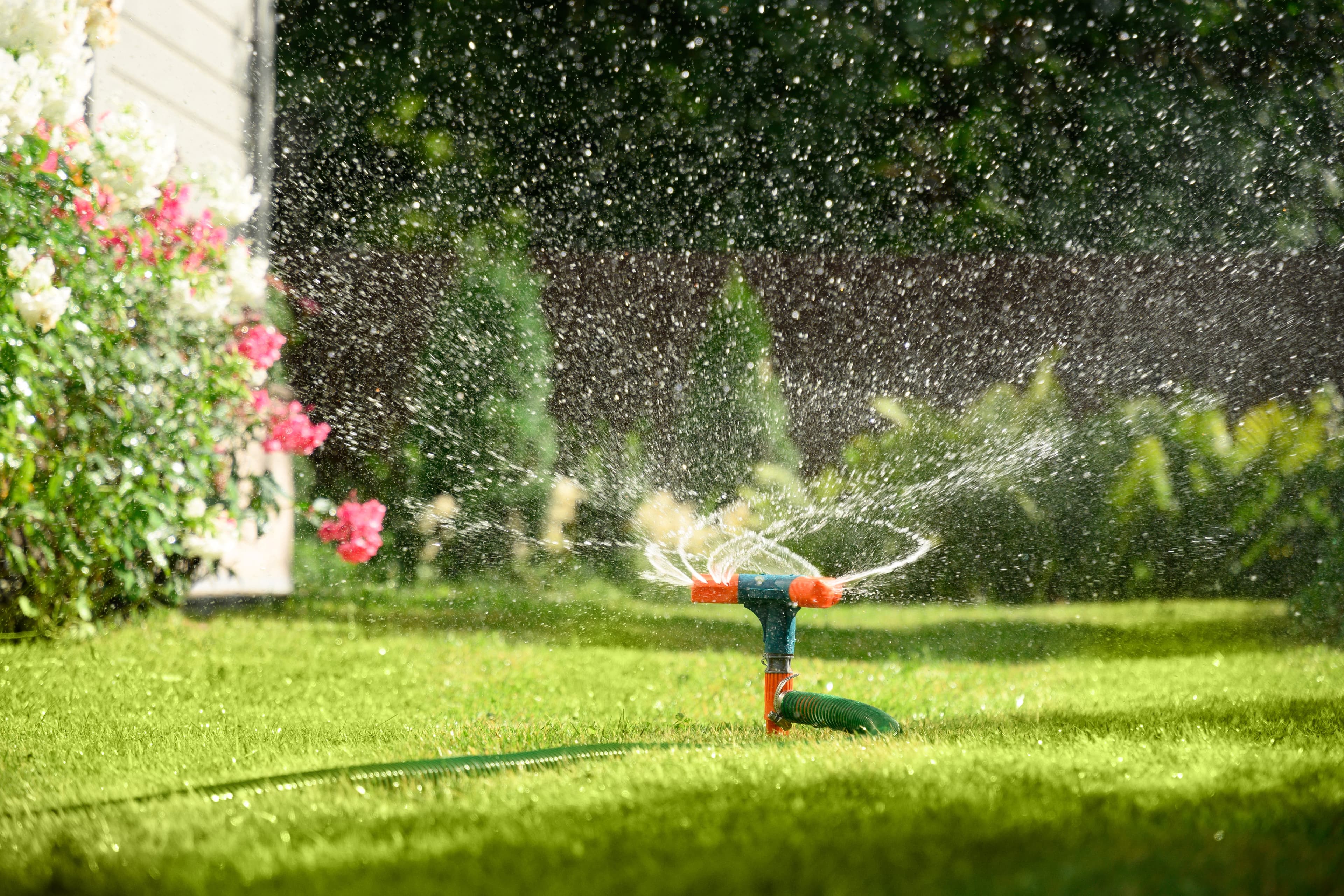 Effiziente Gartenbewässerung: Sichern Sie das Wachstum Ihres Gartens