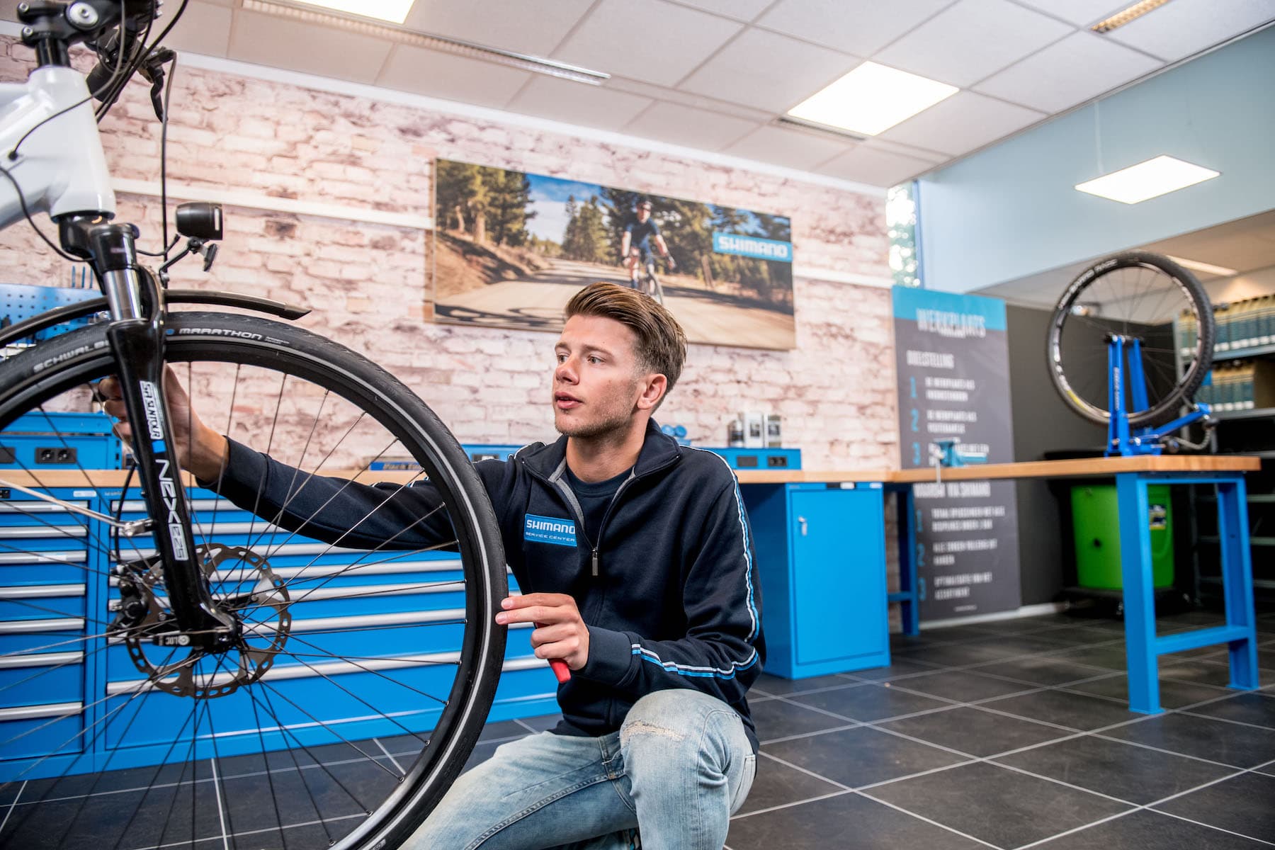 Professioneller Fahrradservice & Wartung durch zertifizierte Shimano Mechaniker