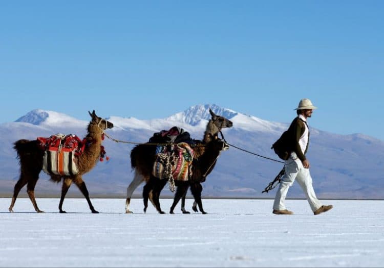 Profi für individuelle Reise
