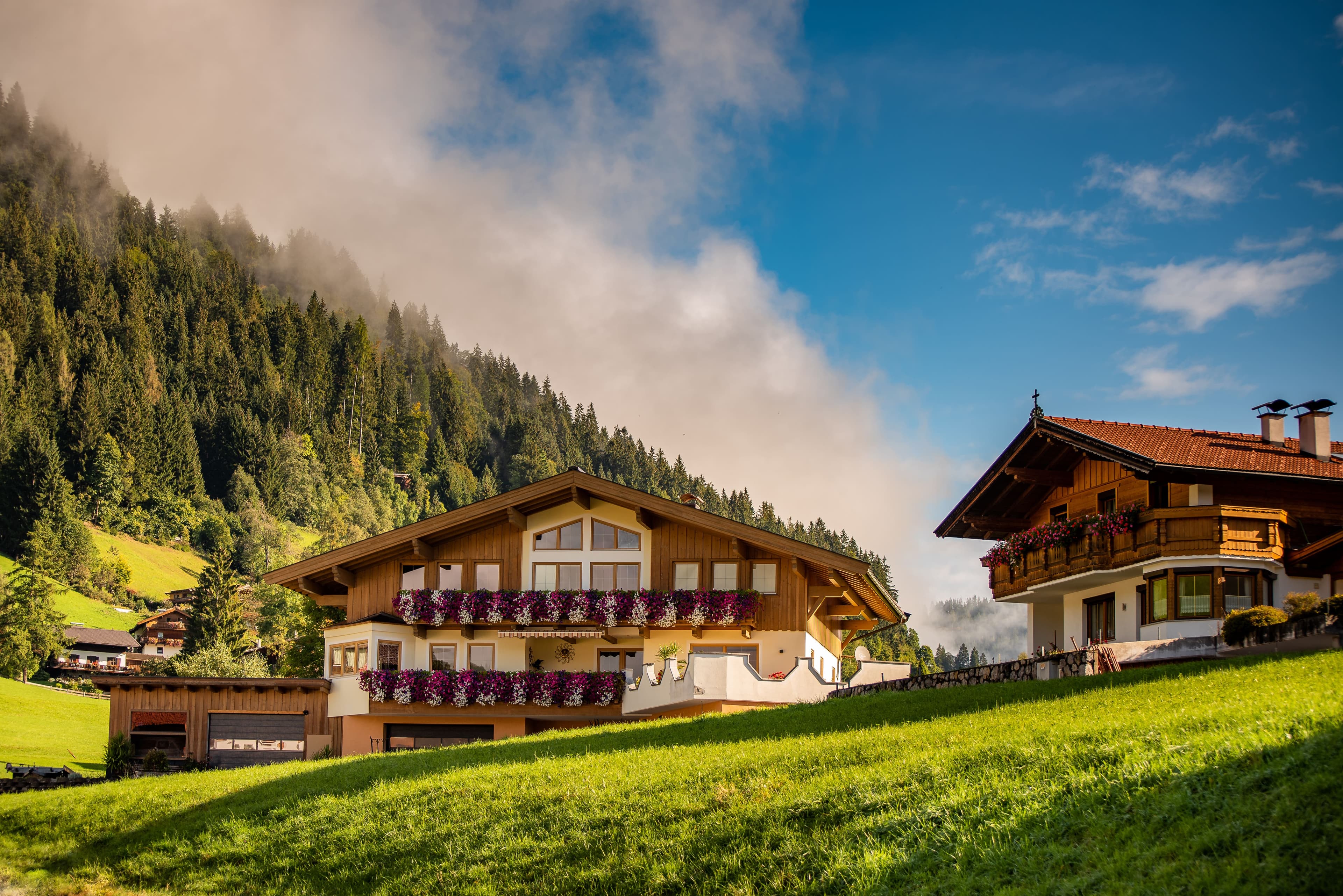 Wohlfühlhotel für Hunde