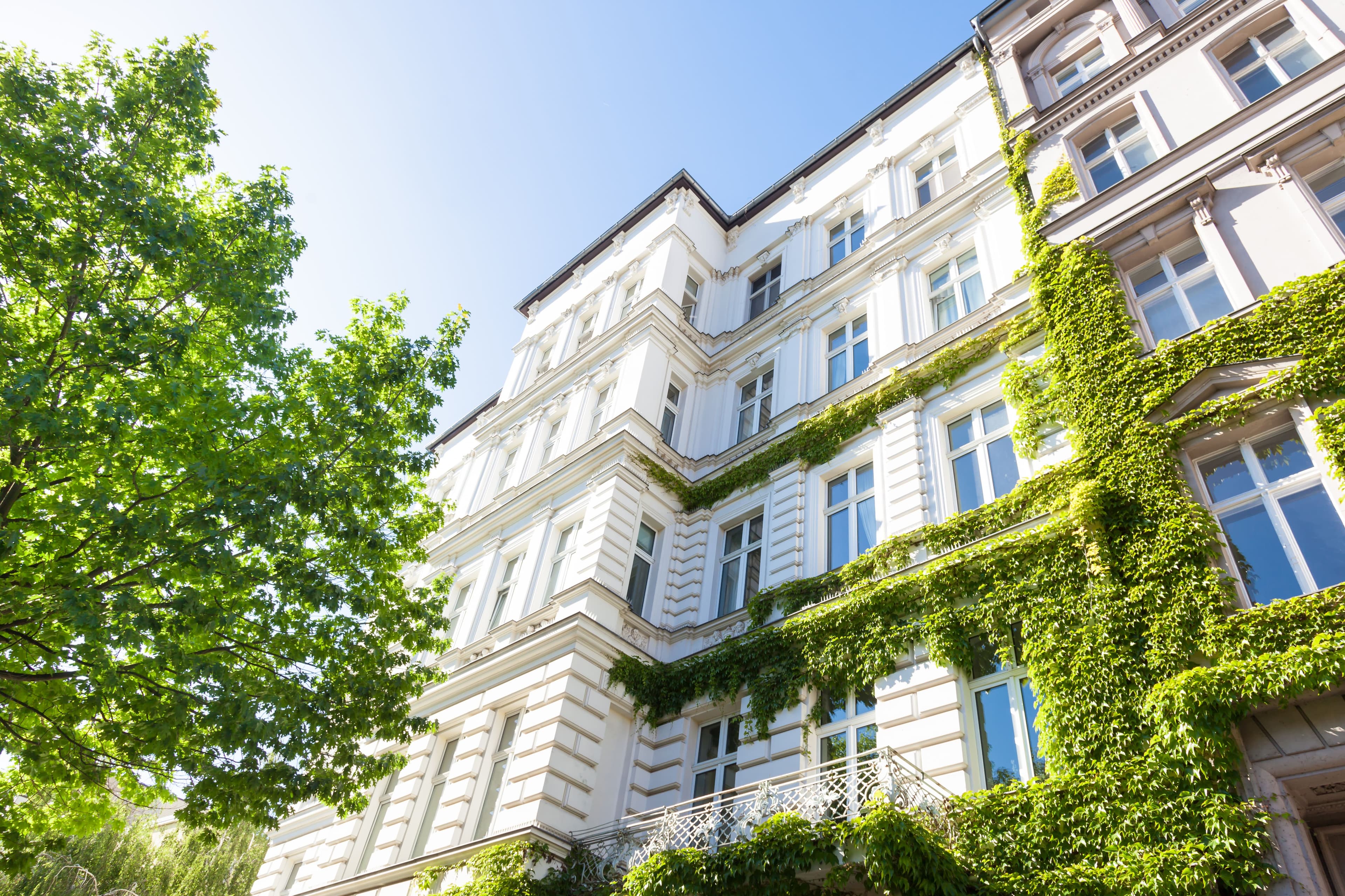 Bester Immobilienmakler