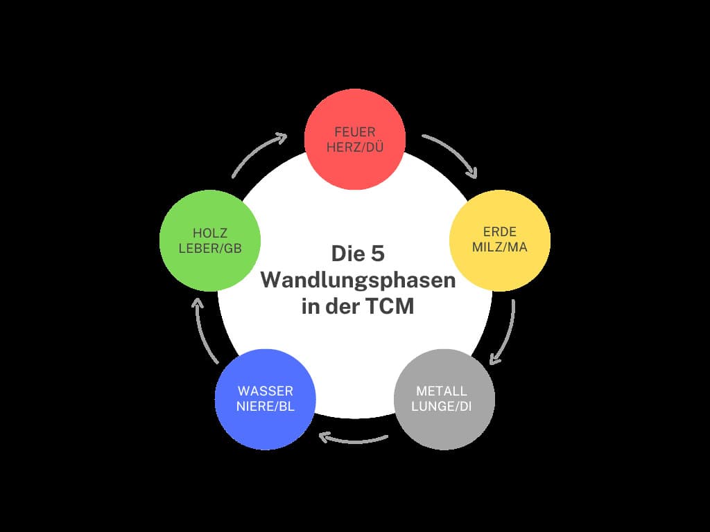 Traditionelle Chinesische Medizin in Wien