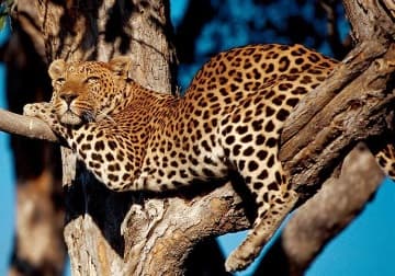 Exklusive Namibia-Rundreise buchen