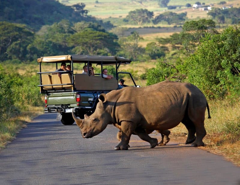 Exklusive Safari durch Botswana und Simbabwe