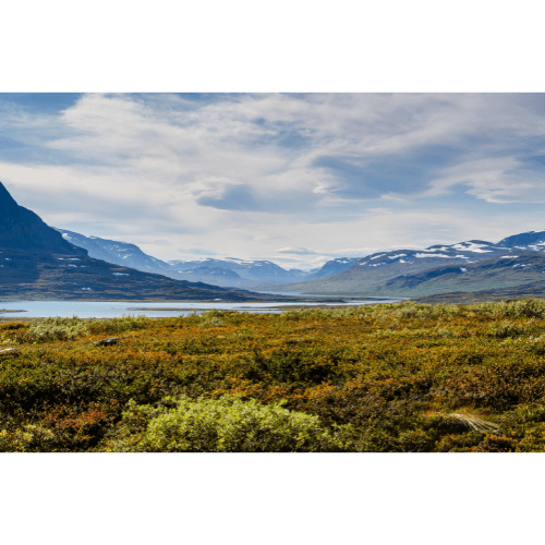 Einzigartige Reise nach Schweden