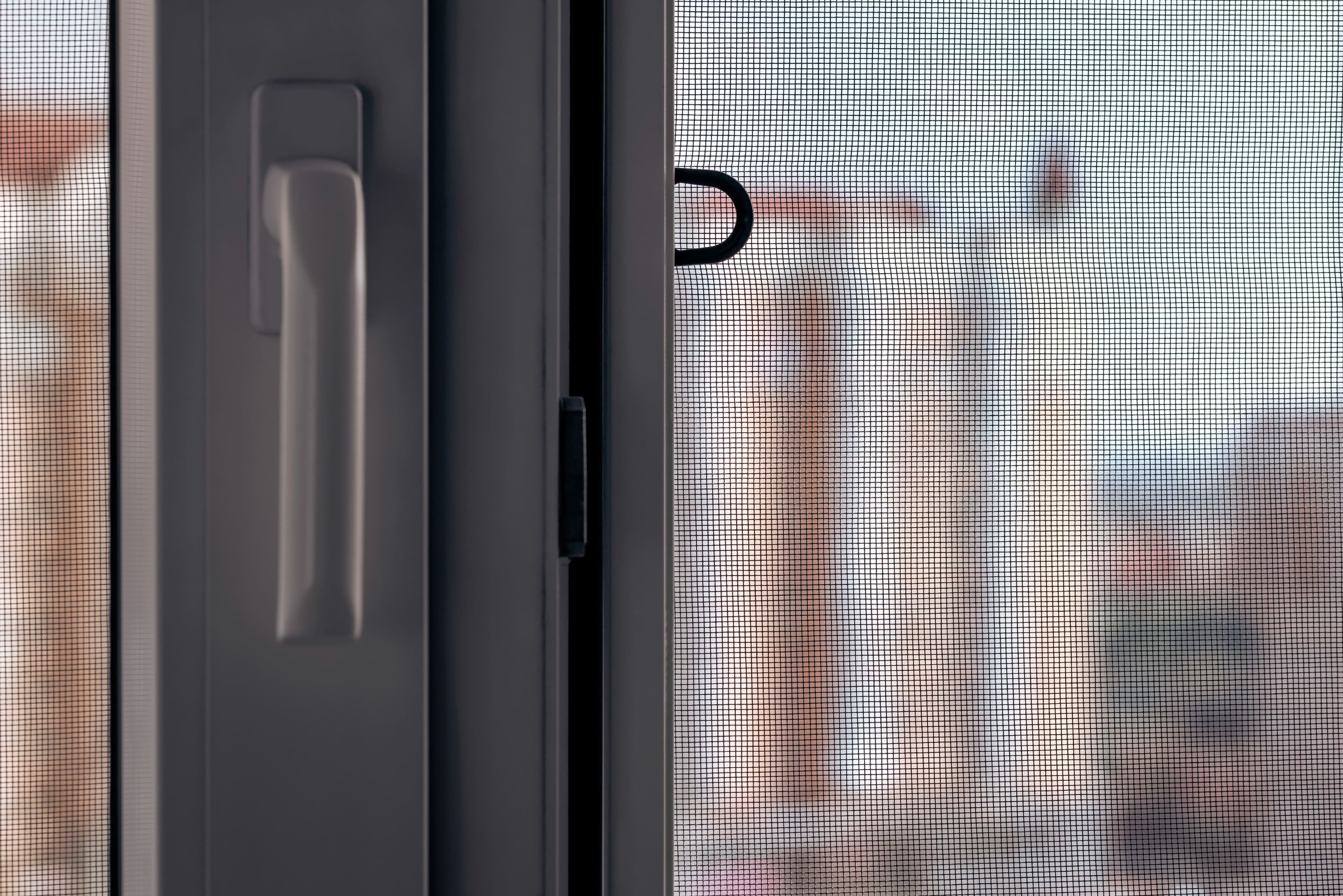 Insektenschutz nach Maß: Fliegengitter für Fenster