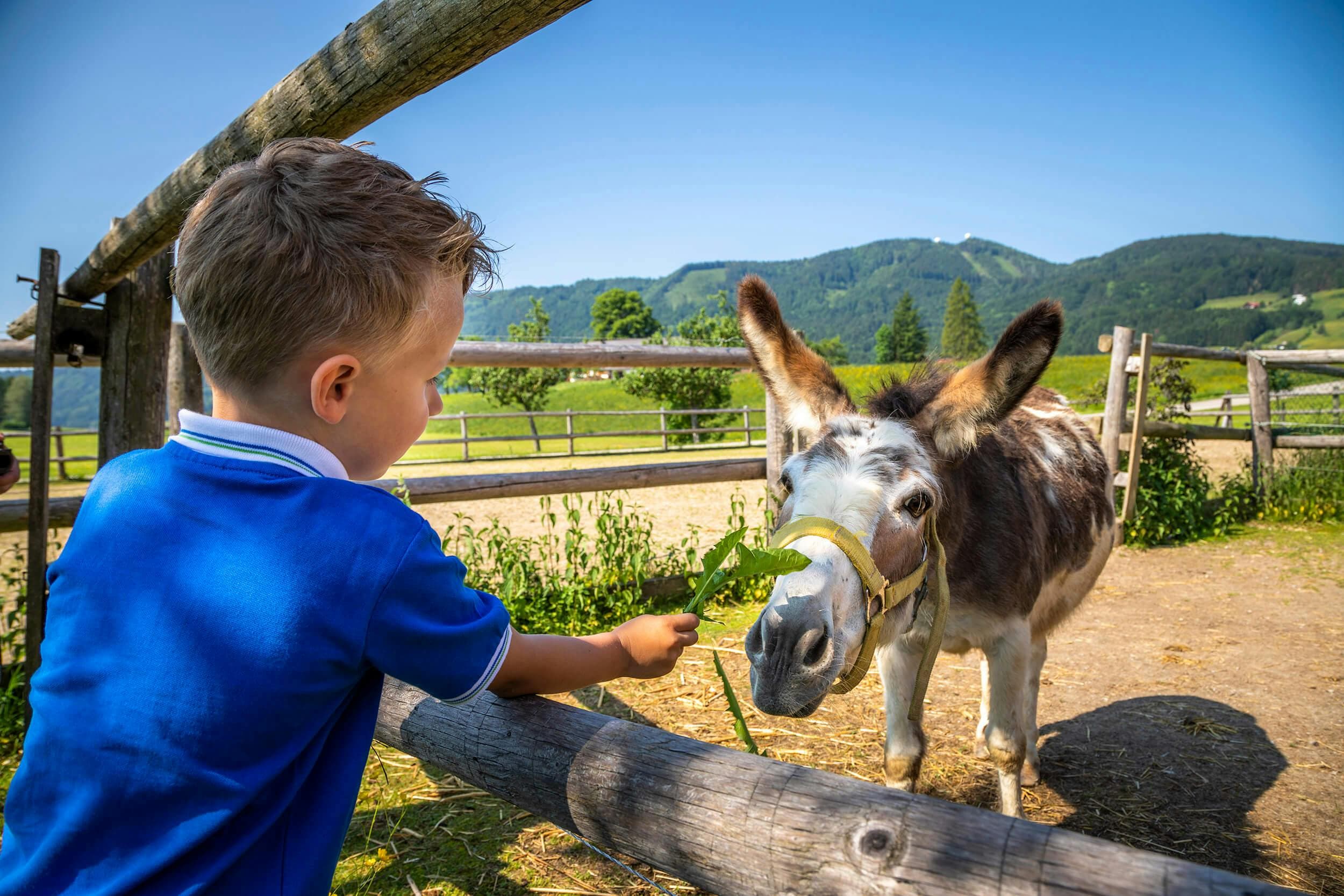 Familienhotel Gutschein für Abenteuerurlaub mit Kindern