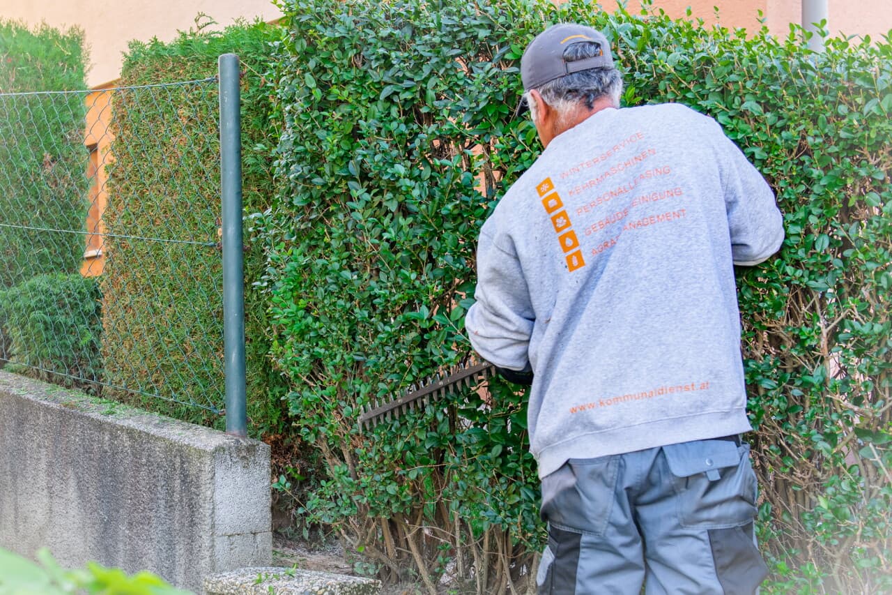 Professionelle Gartenpflege in Mistelbach