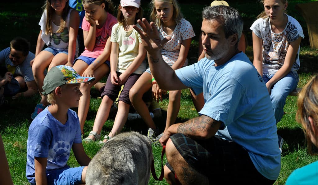 Kindergeburtstag mit Huskys im Waldviertel