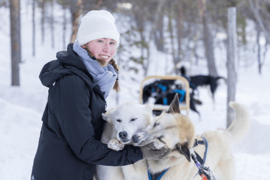 Schlittenhundesport in Österreich kennenlernen