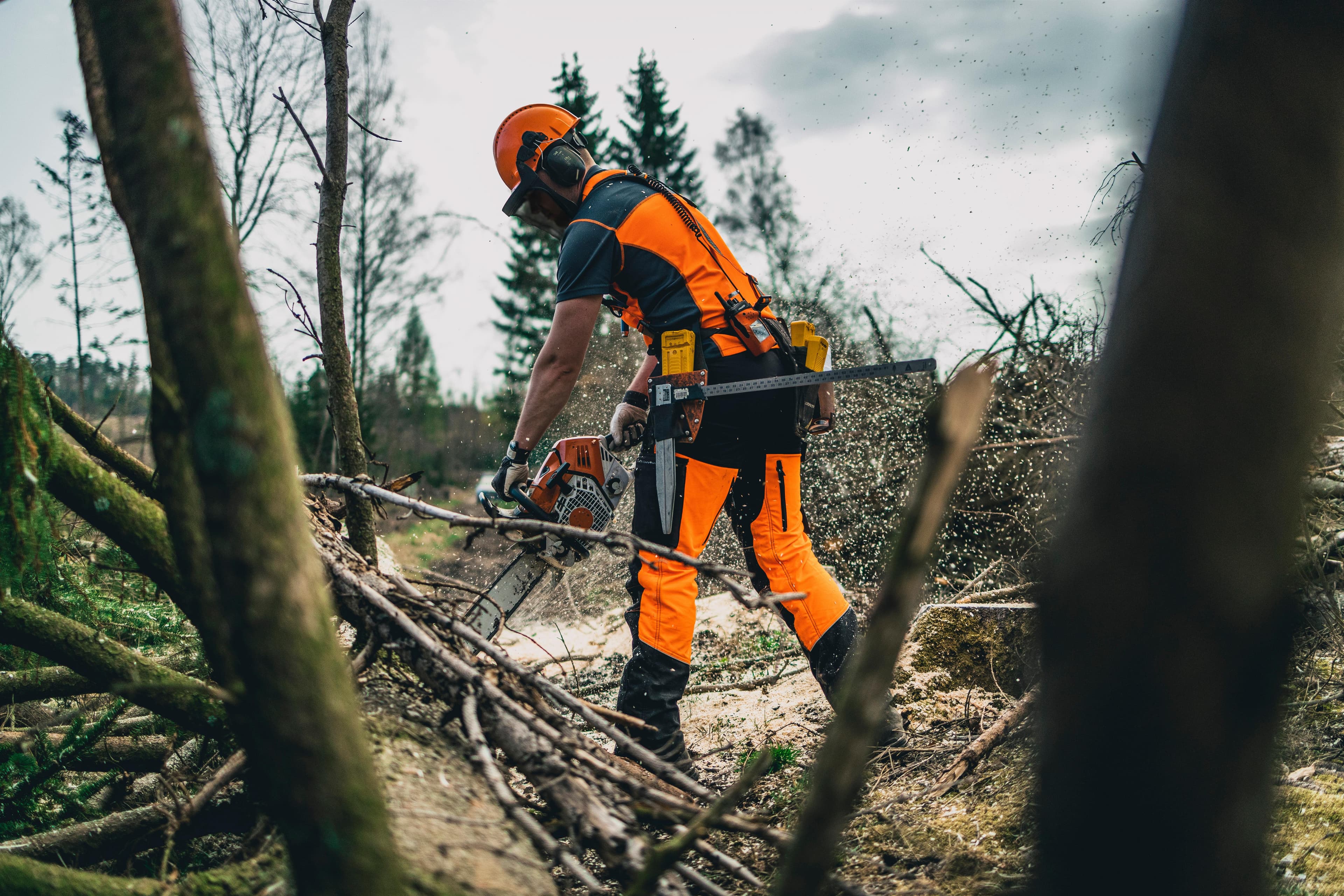 Wald- und Forstwirtschaft in Baden-Württemberg