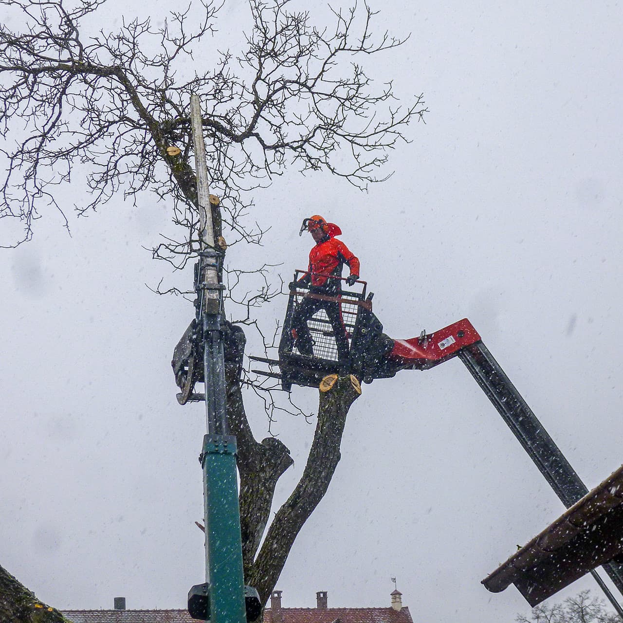 Forstunternehmen Baden-Württemberg