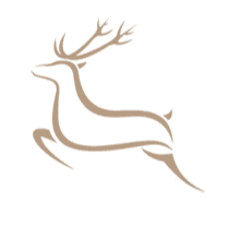 Company Page