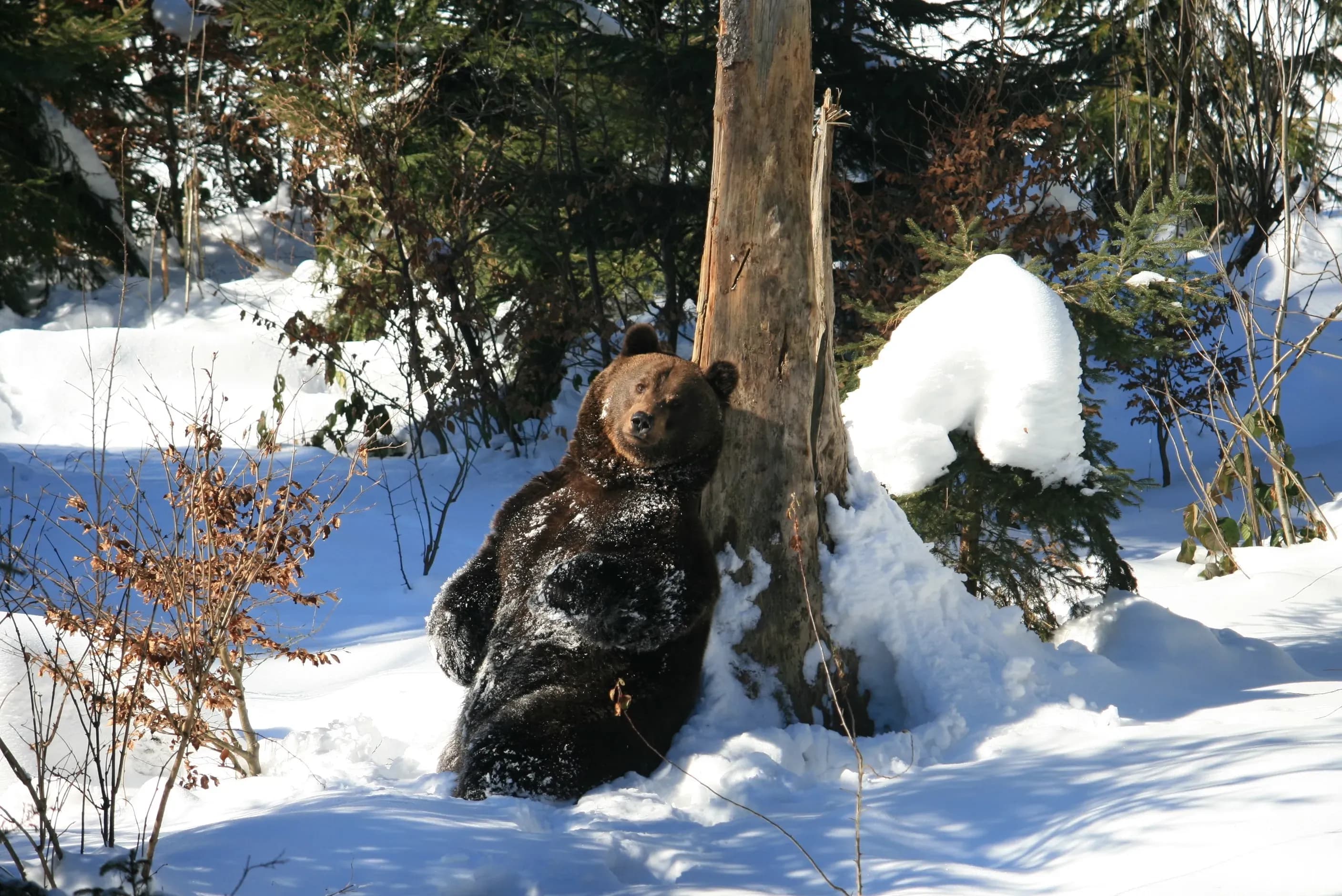 Alternative Sportarten im Bayerischen Wald