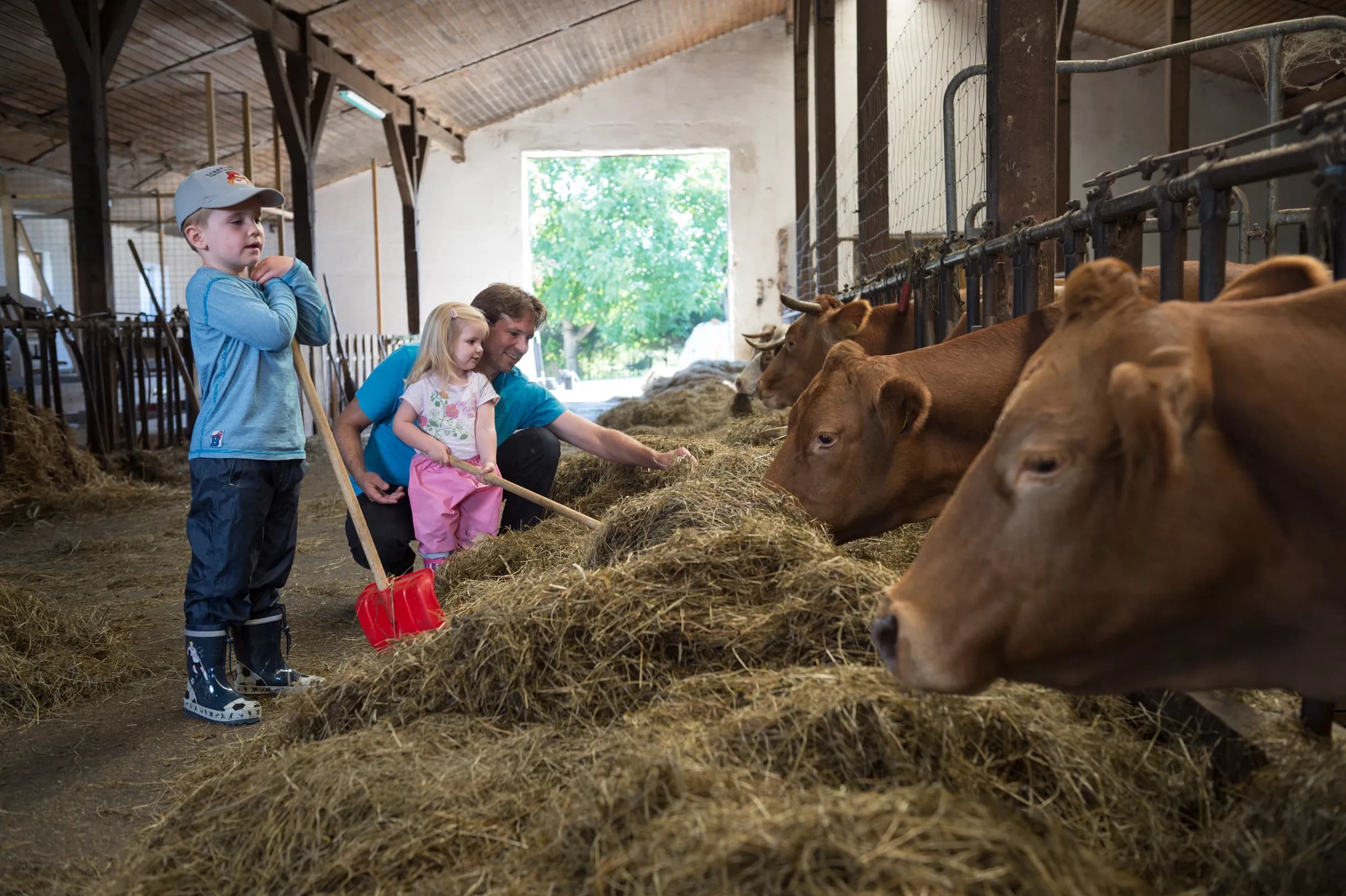 Familienhotel mit Erlebnisbauernhof im Bayerischen Wald buchen