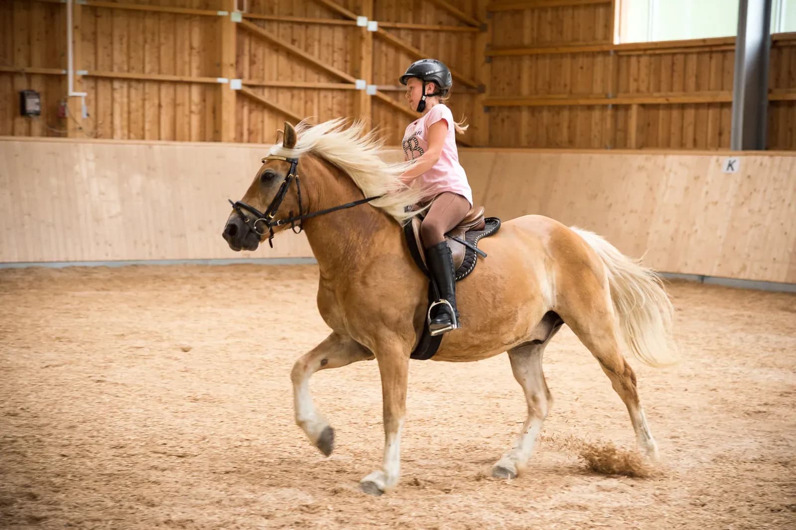 Ponyreiten & tierische Abenteuer – Familienhotel mit Reiterhof im Bayerischen Wald