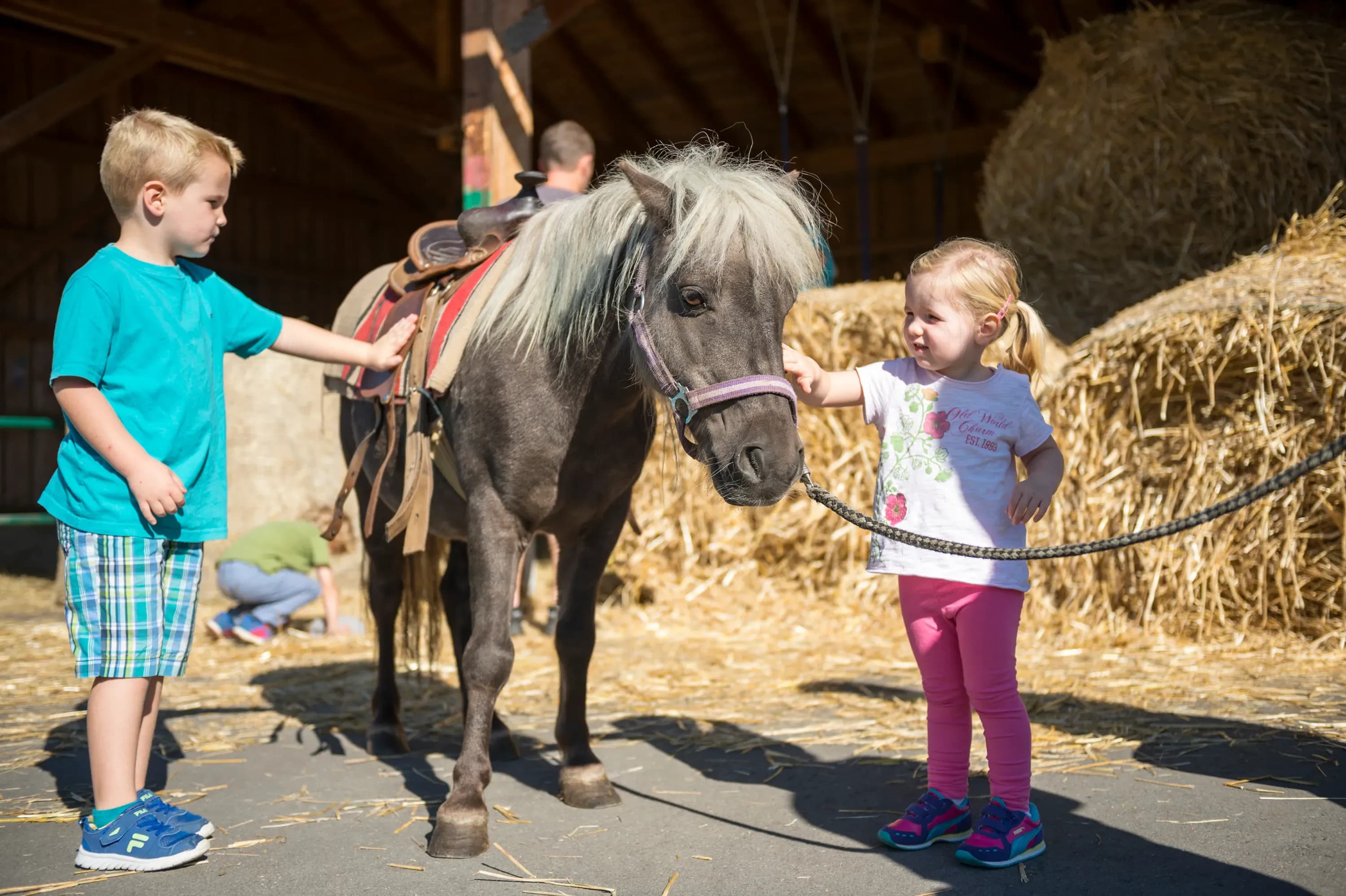 Natur erleben – Familienurlaub mit Reitunterricht und Hofalltag
