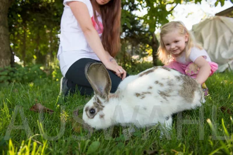 Natur erleben – Familienurlaub mit Reitunterricht und Hofalltag