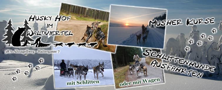 Image Component