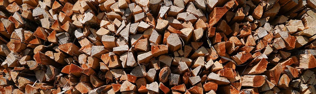 Wie trockne ich Brennholz richtig 