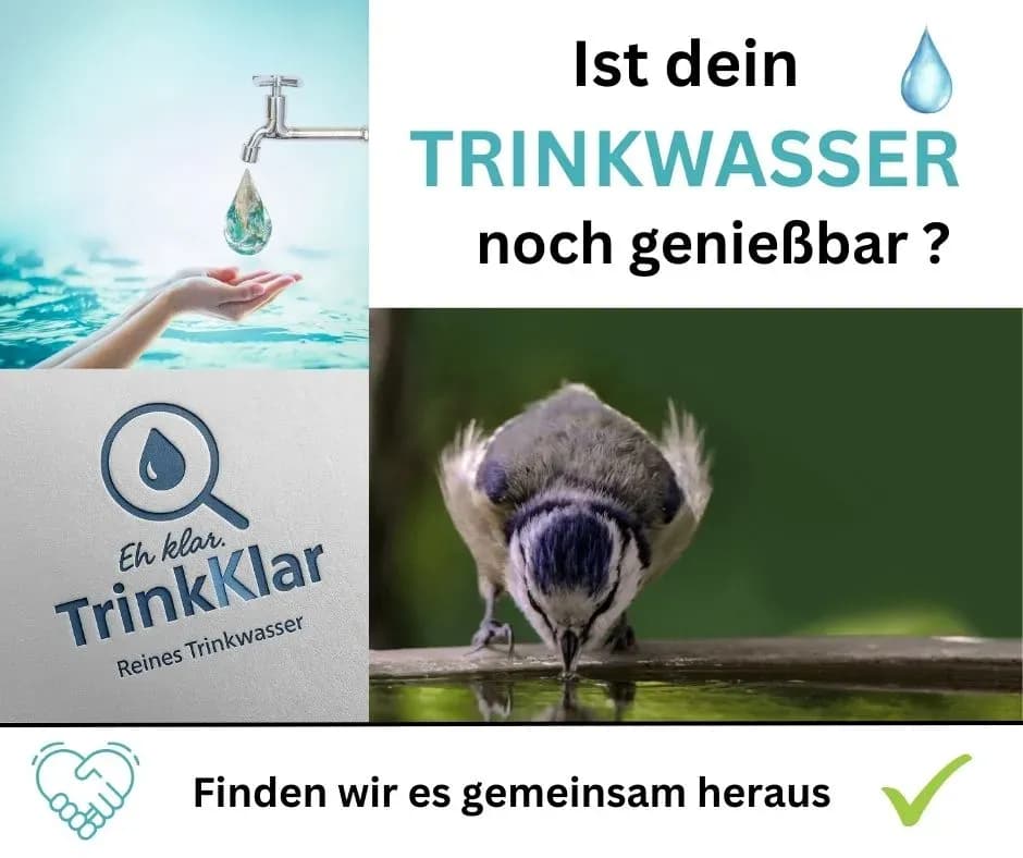 Wie kann die Wasserqualität verbessert werden?